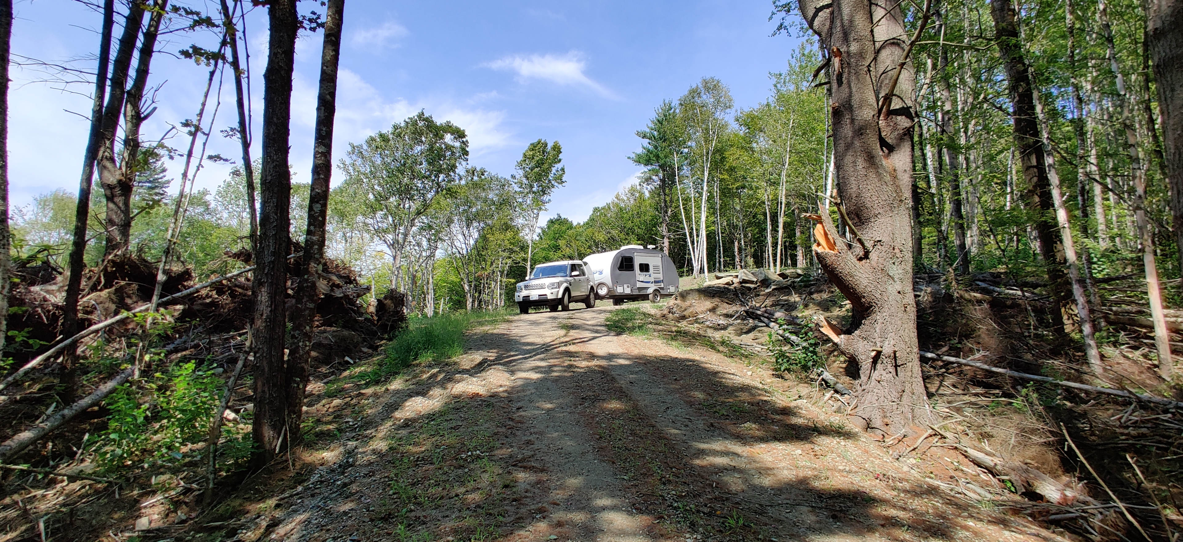 Sugar Wood Meadow Camping