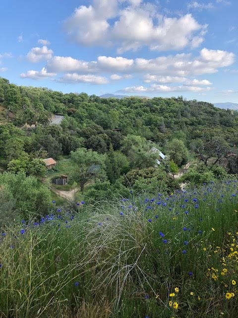 This is on the main site of our property looking out over the property.