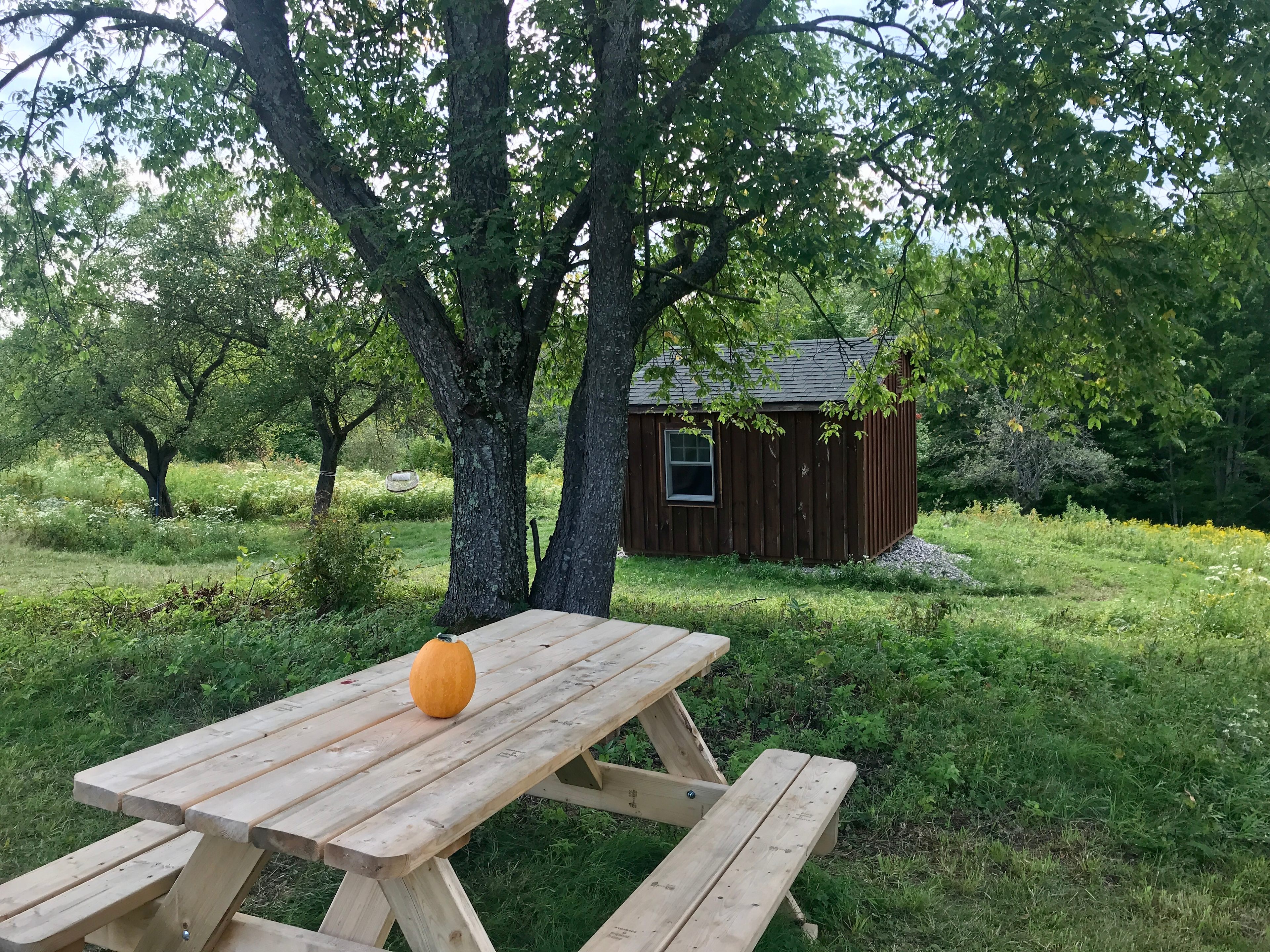 Pic-nic table near Bed in a Shed.