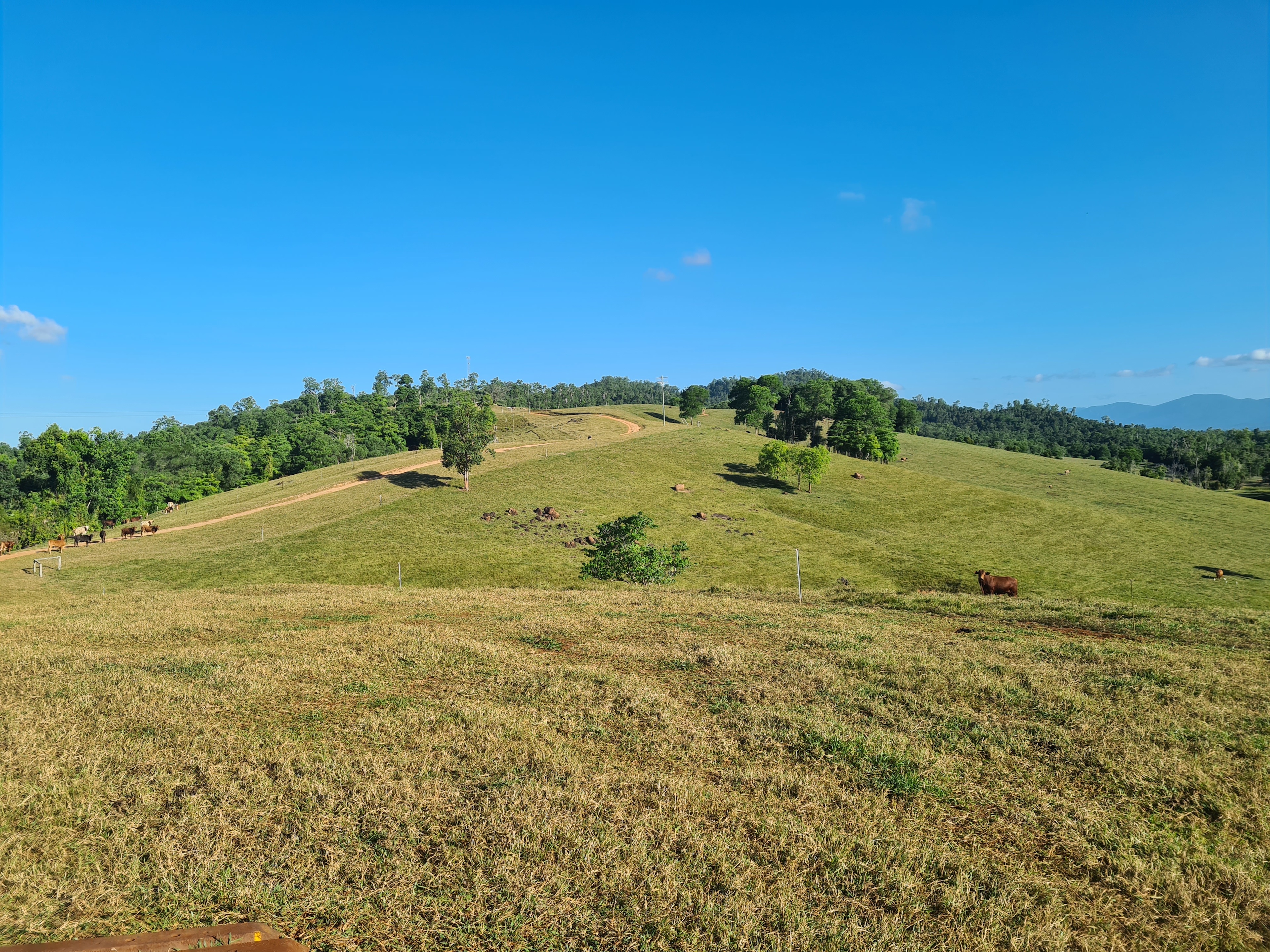 Clearview