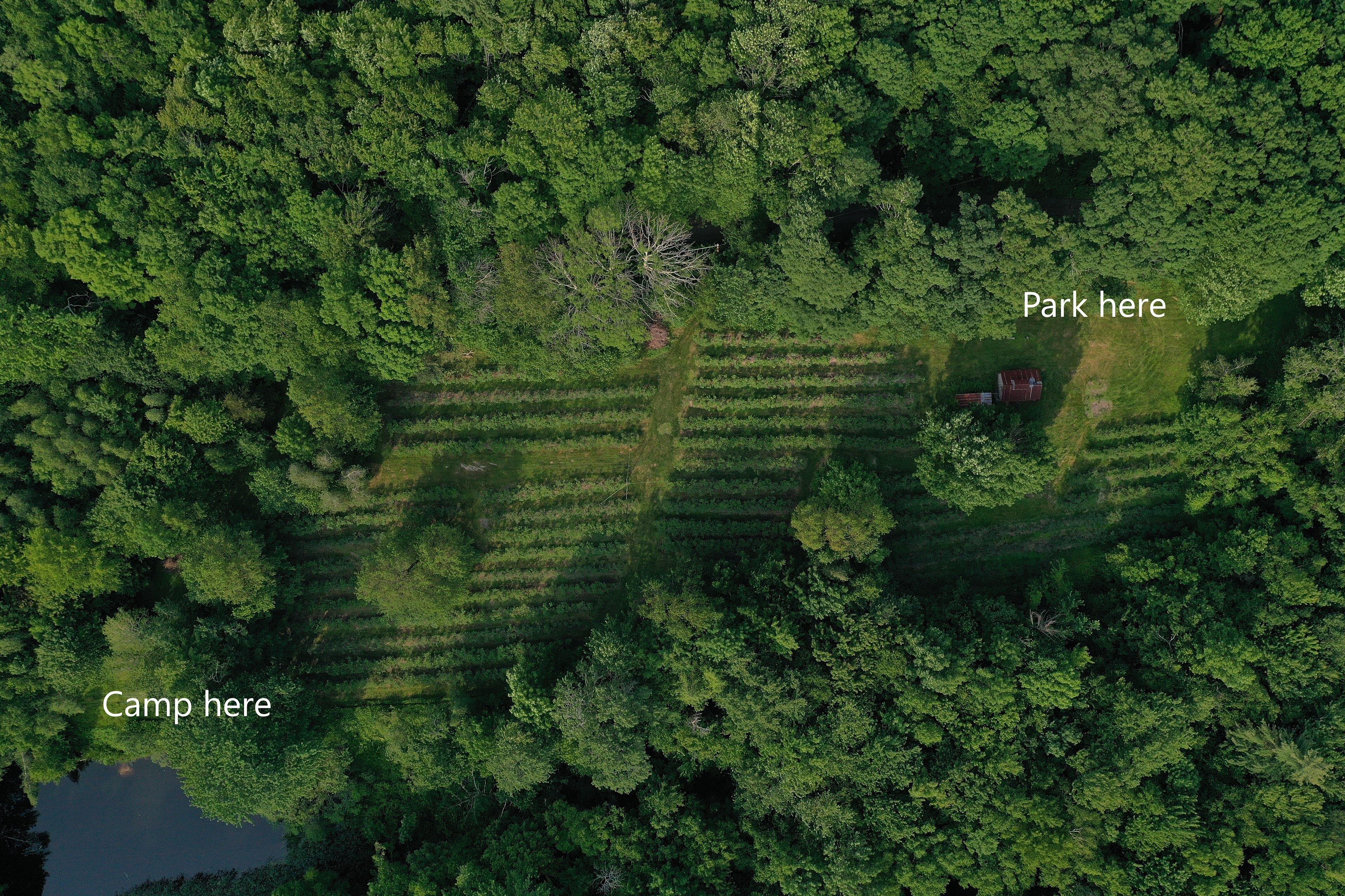 drone shot showing camp site