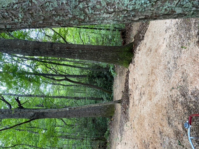 One is the tent spots