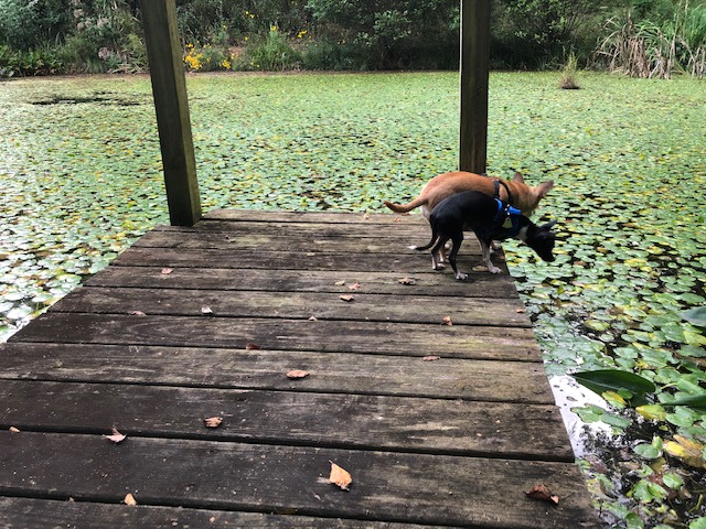 LGBTQ+ friendly! Everyone welcome!