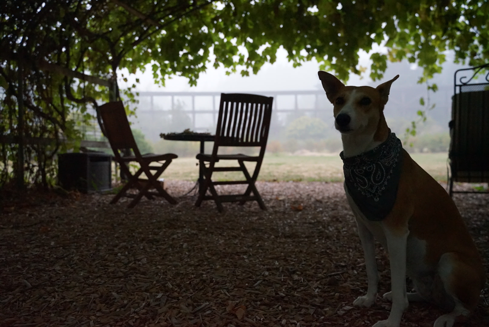 “Park like setting”