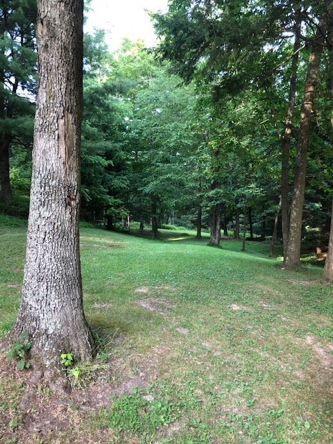Surrounding area