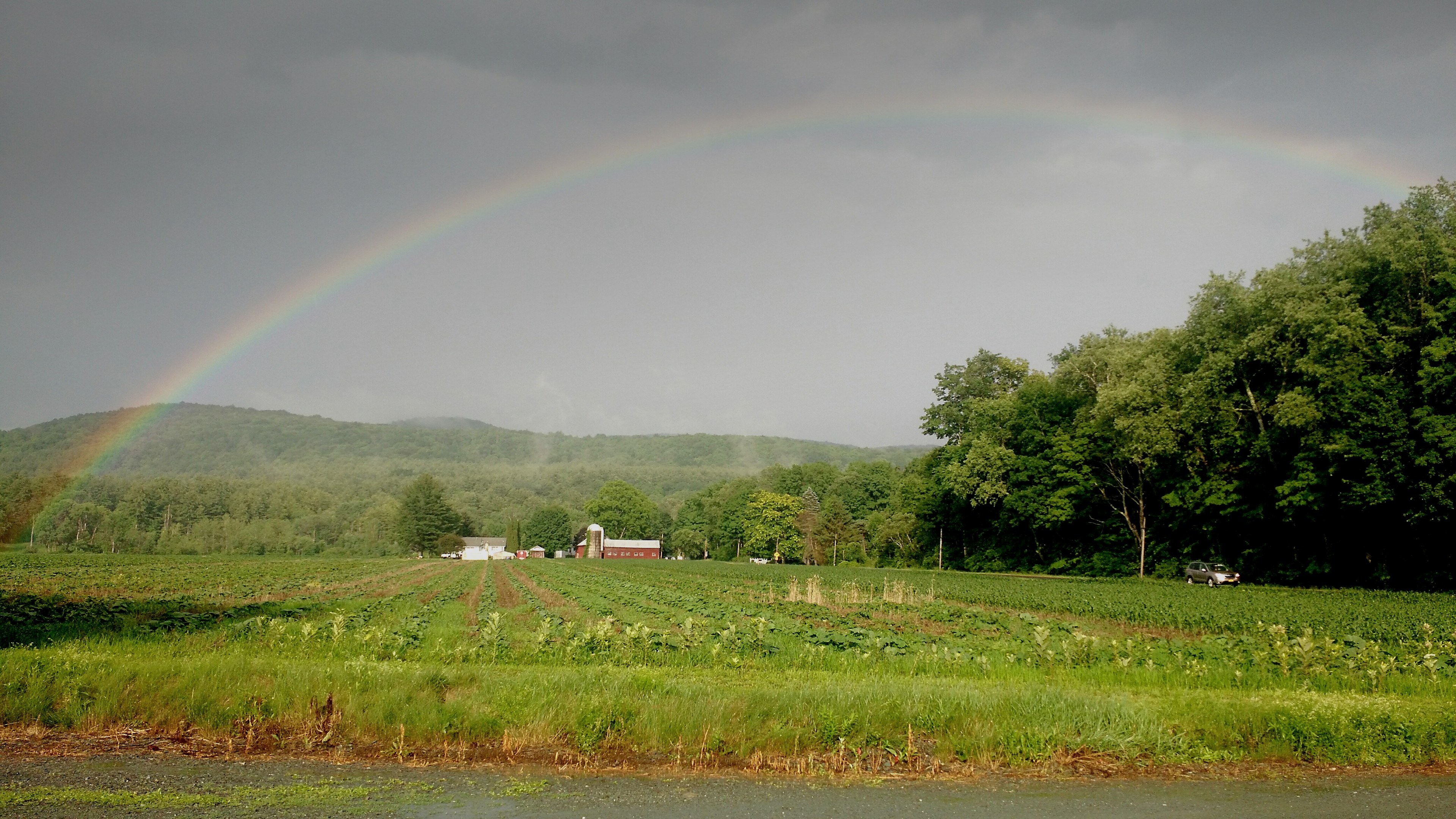 You'll be at the end of the rainbow!