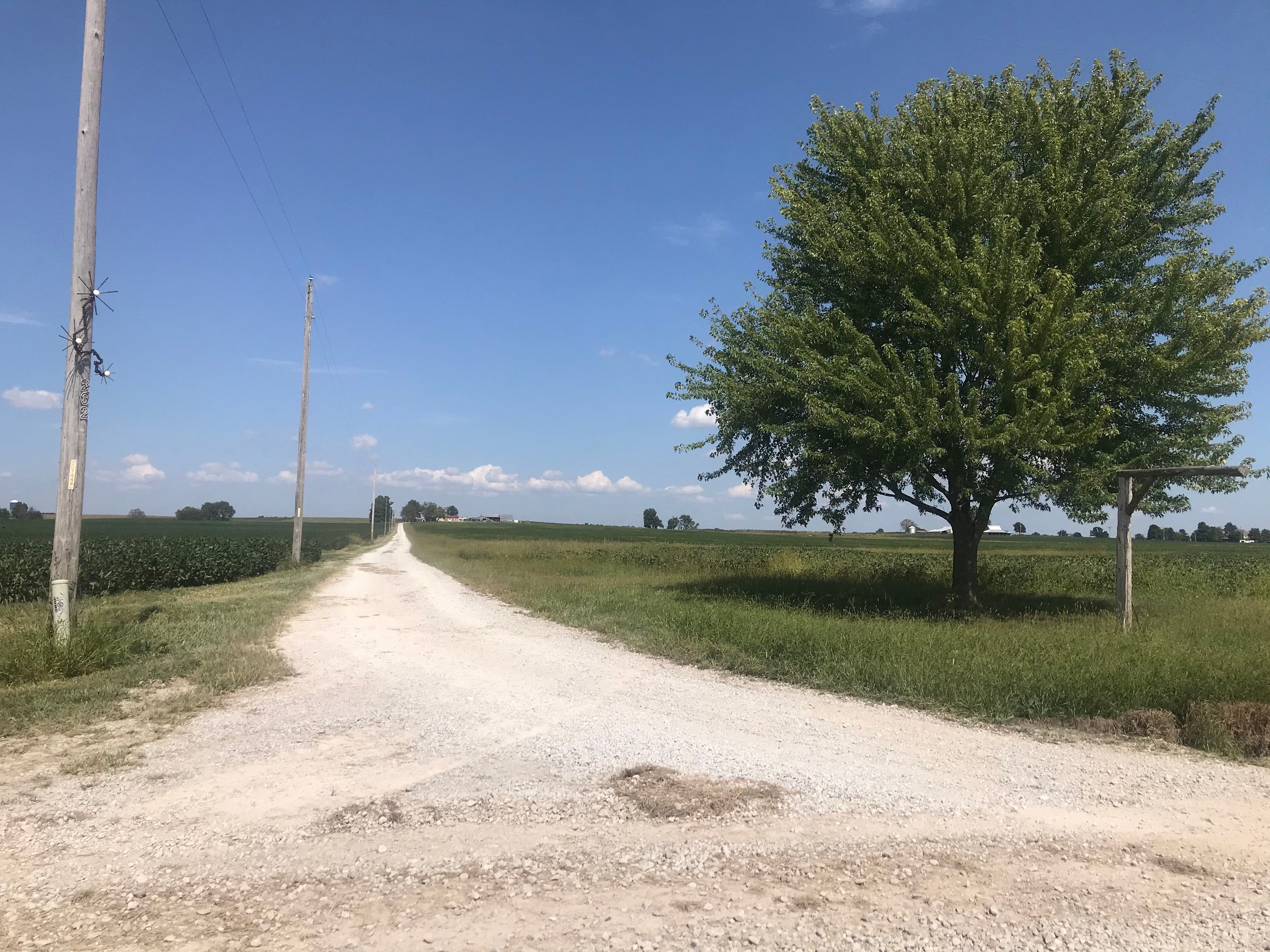 Driveway entrance. Half a mile to the top. Lone maple tree, salvaged metal art on the telephone pole with the number 262.