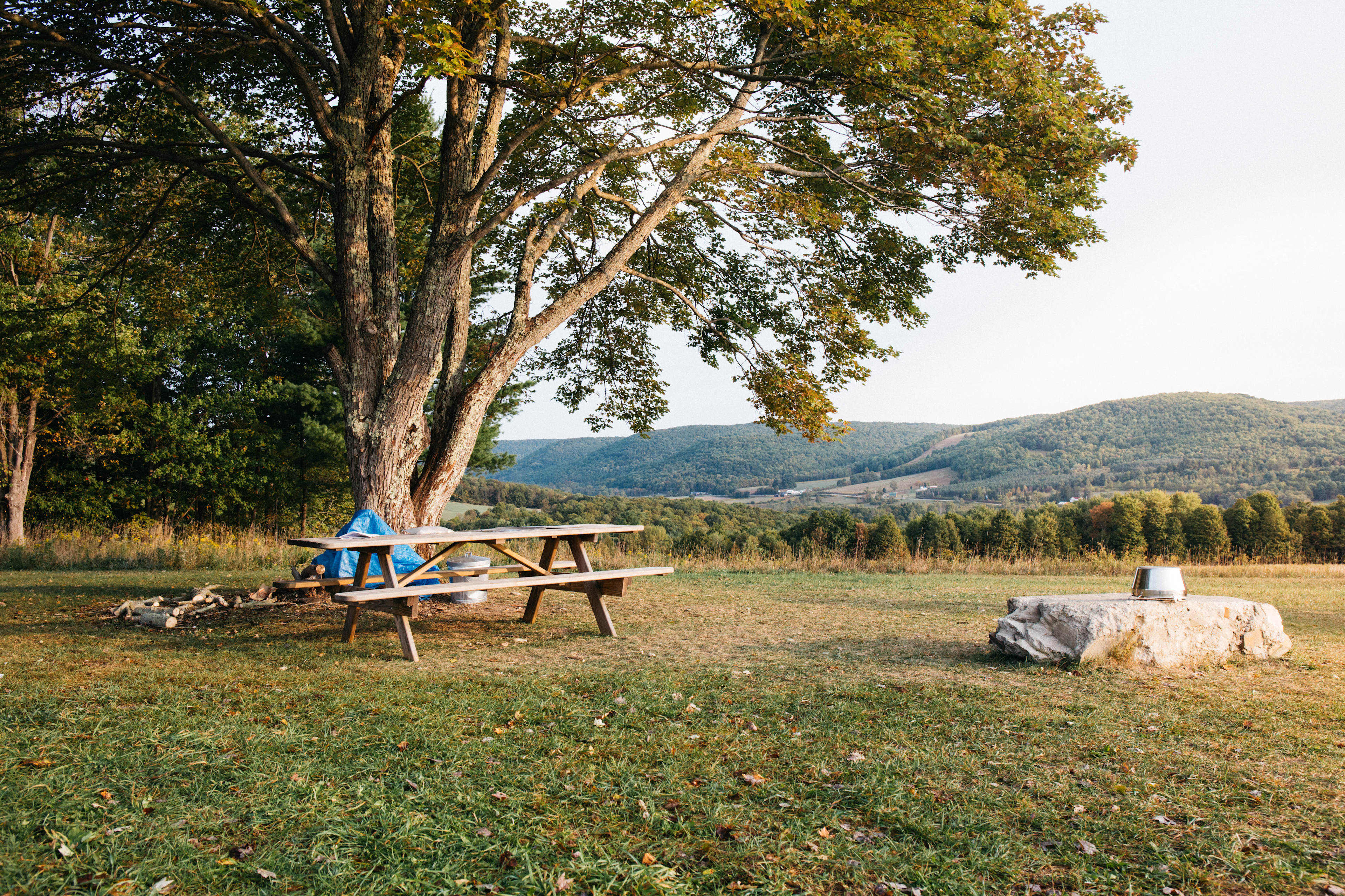 Eat all three meals with a view at the picnic table right at camp!