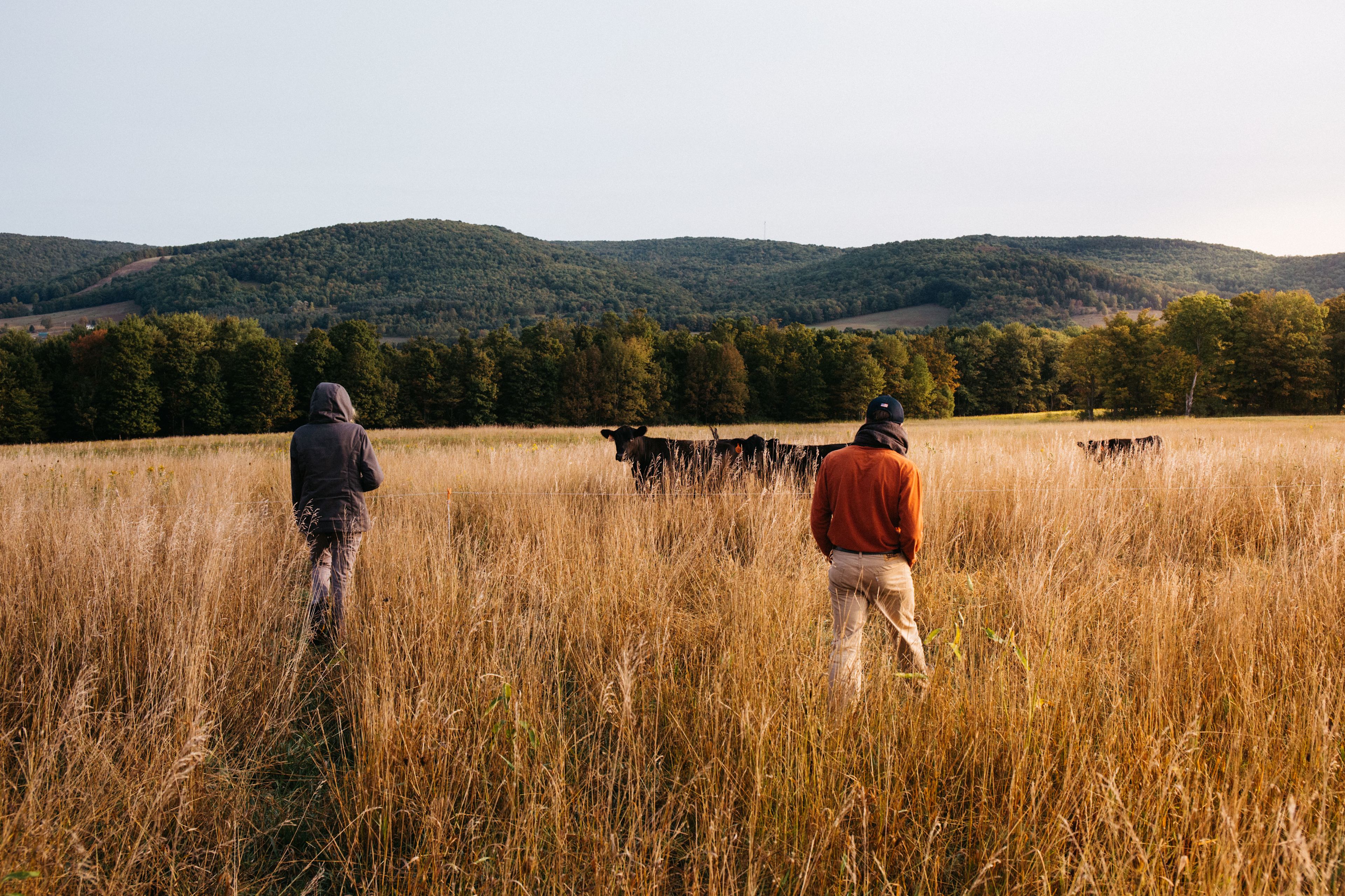 Meet some locals on the hills! 