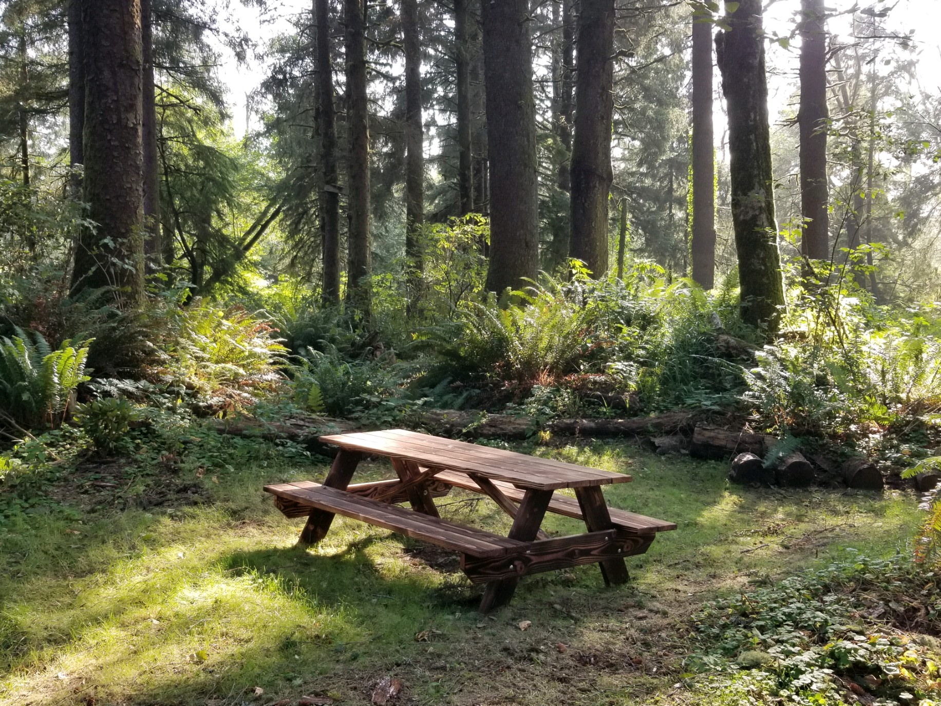 Lost Coast Adventure Camp