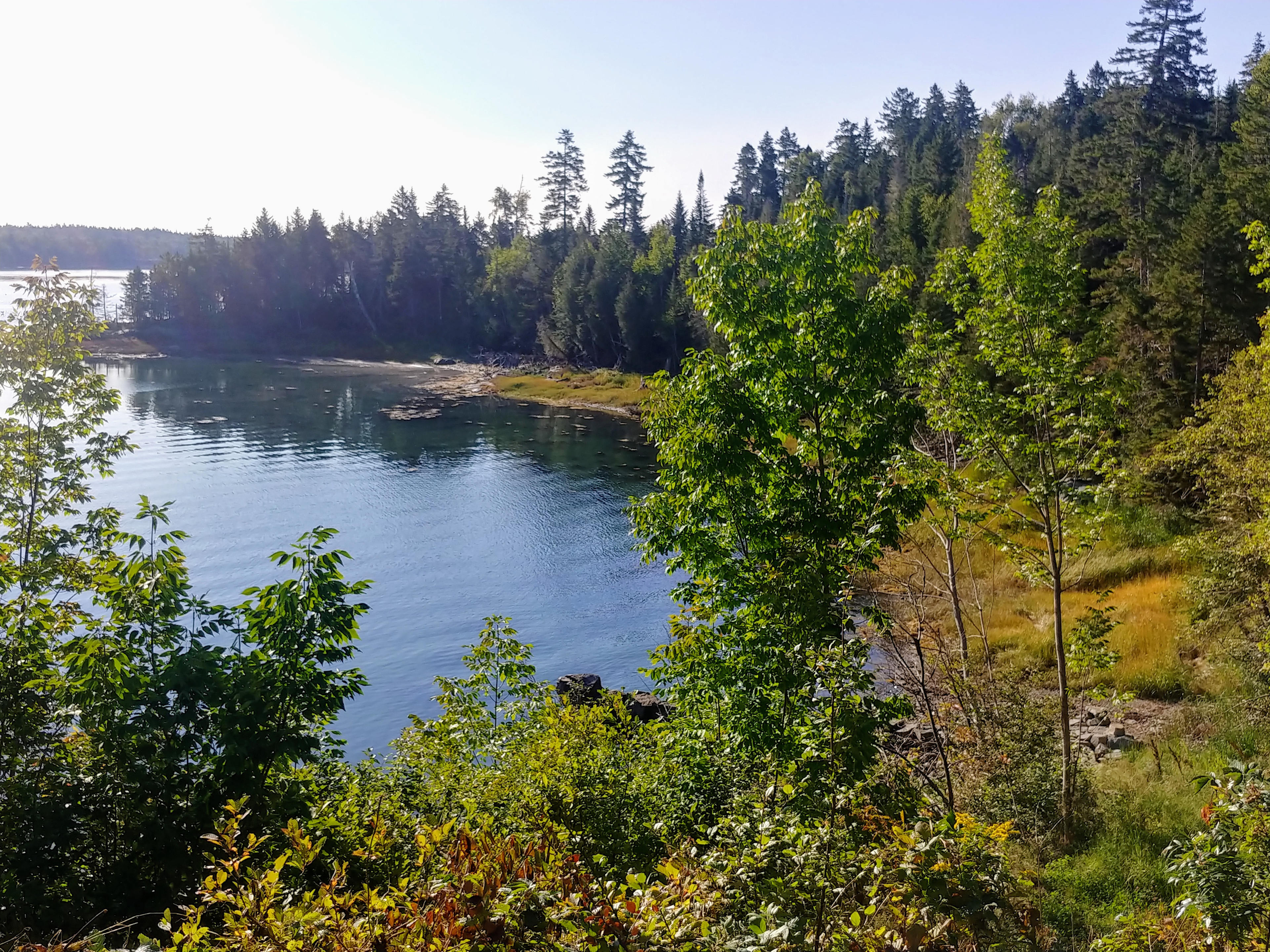 View from site 5 