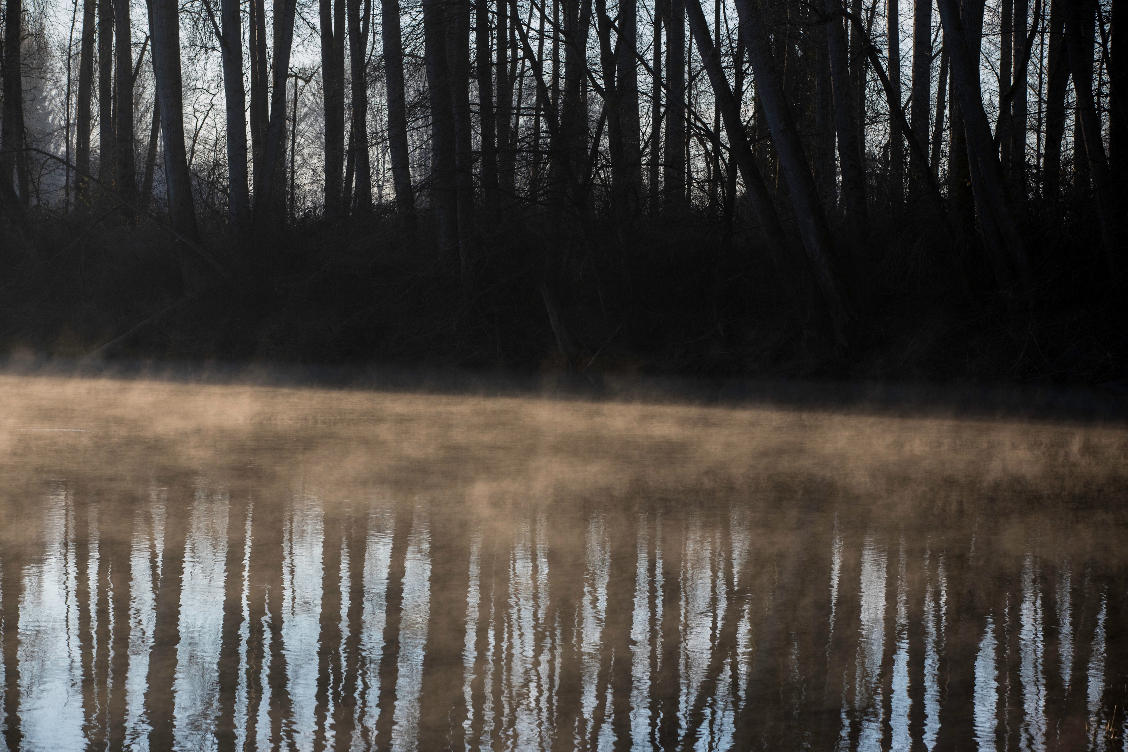 Mist rising on the river