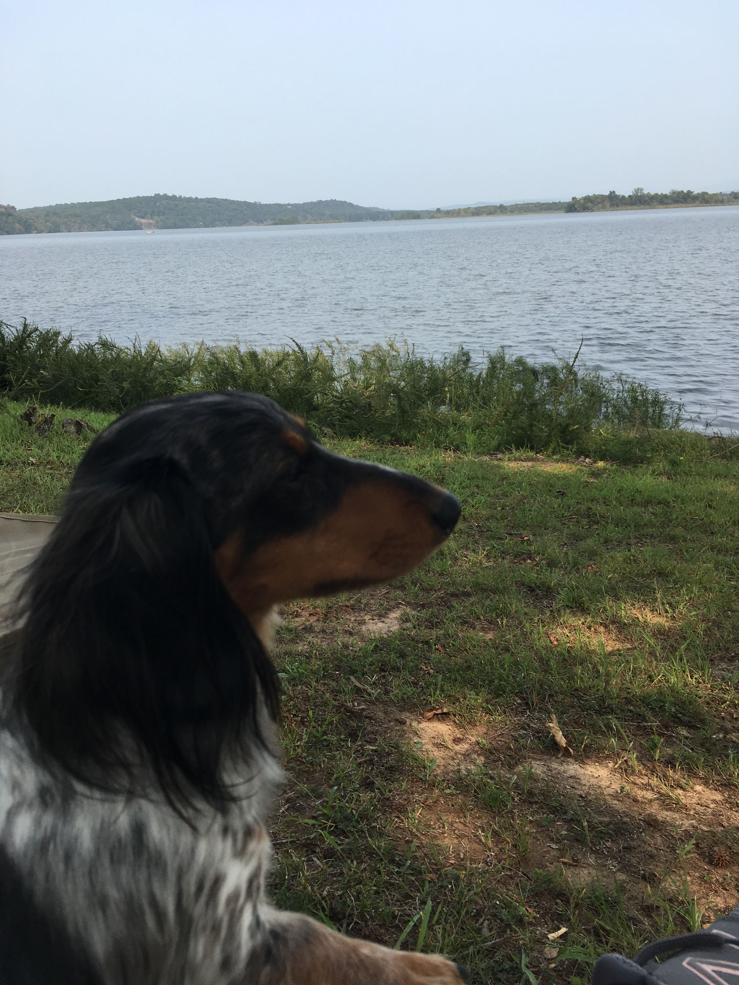 Piney Bay Campground