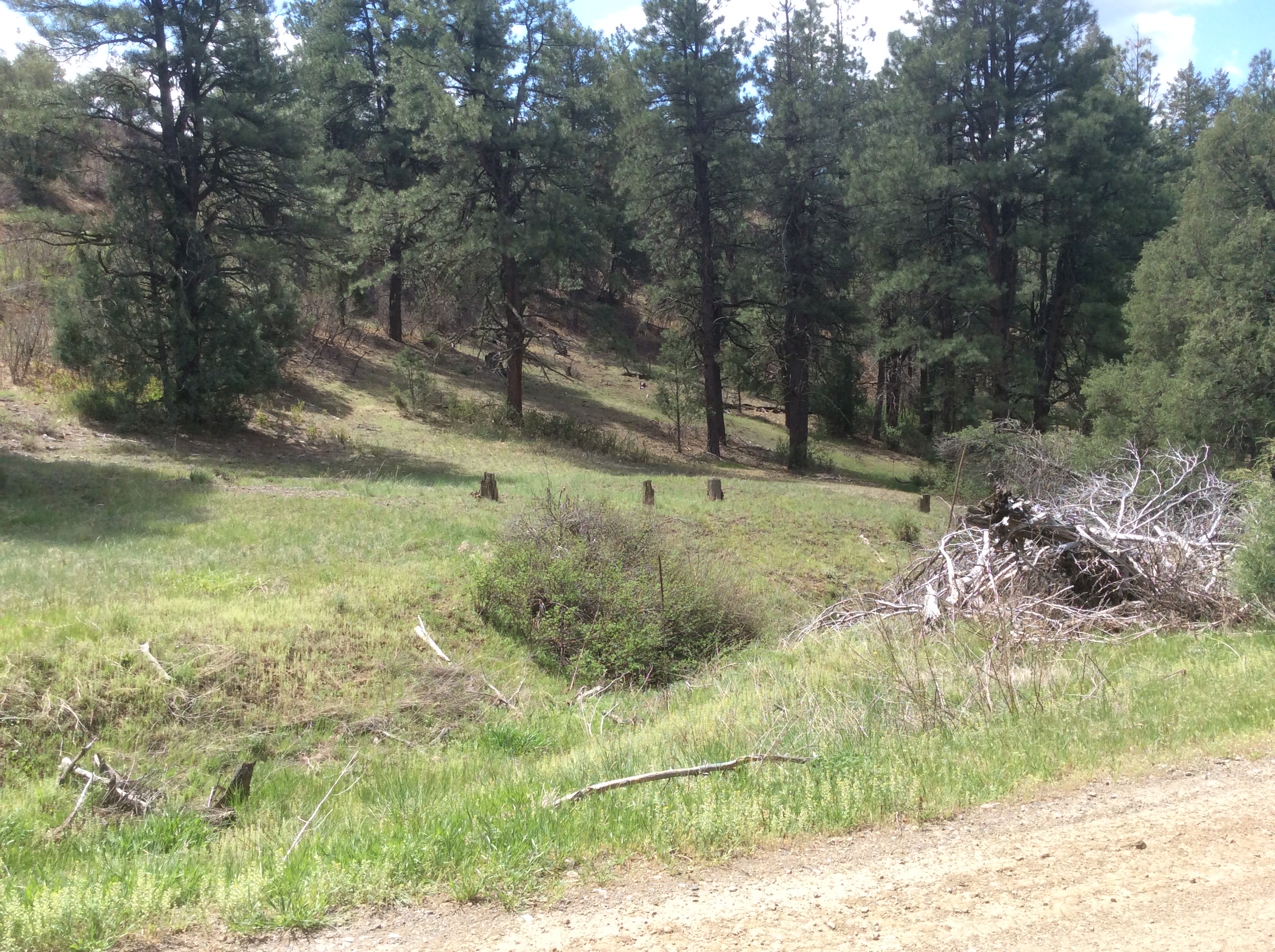 Lower Blanco Camping Hideaway