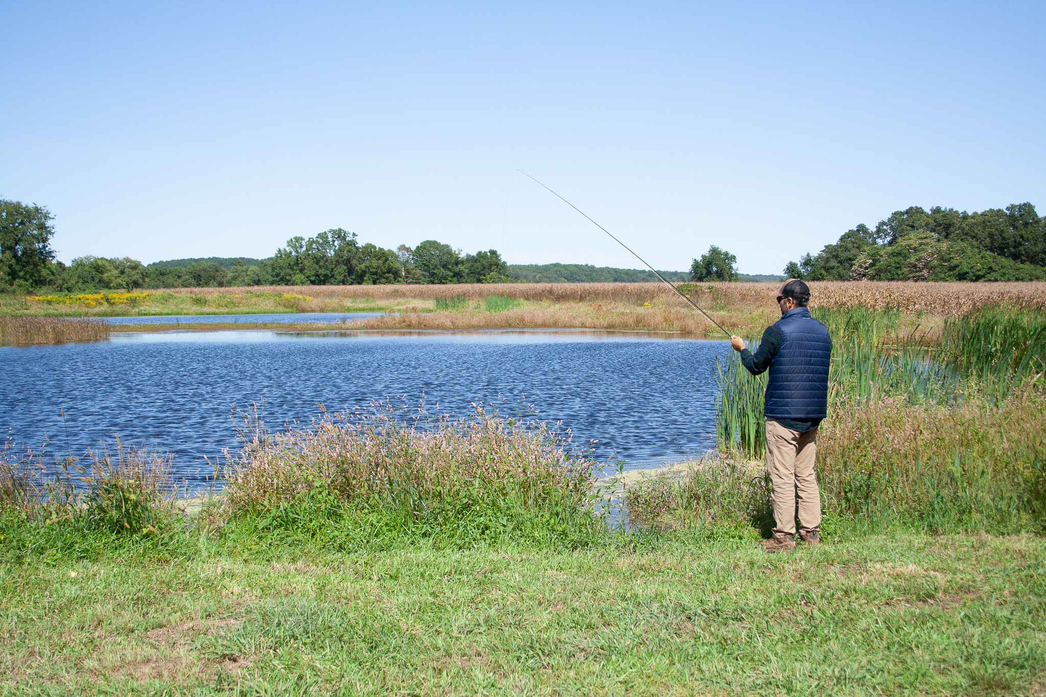Bald Eagle Farm on the Patuxent