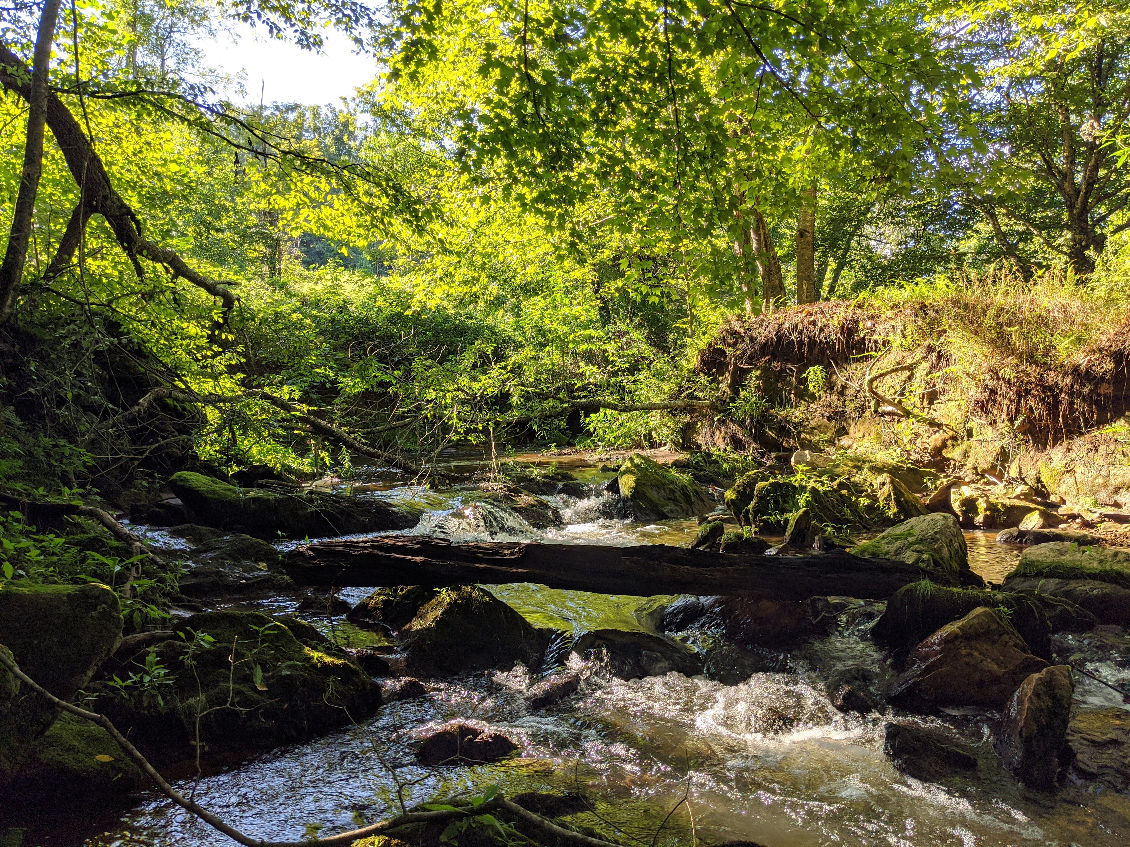 This is Mayberry Creek in the center of the property.