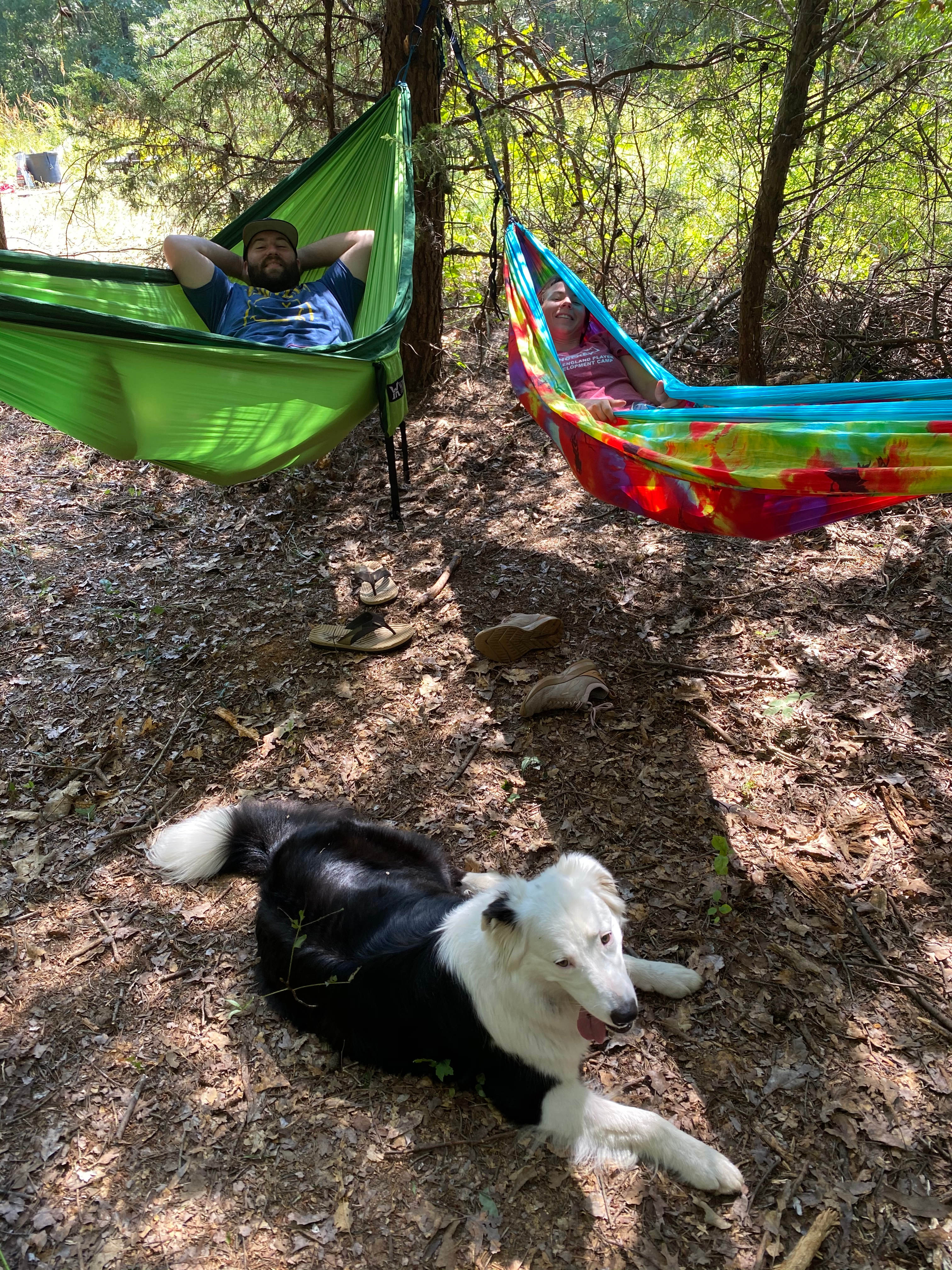 Labyrinth, Trails and Solitude
