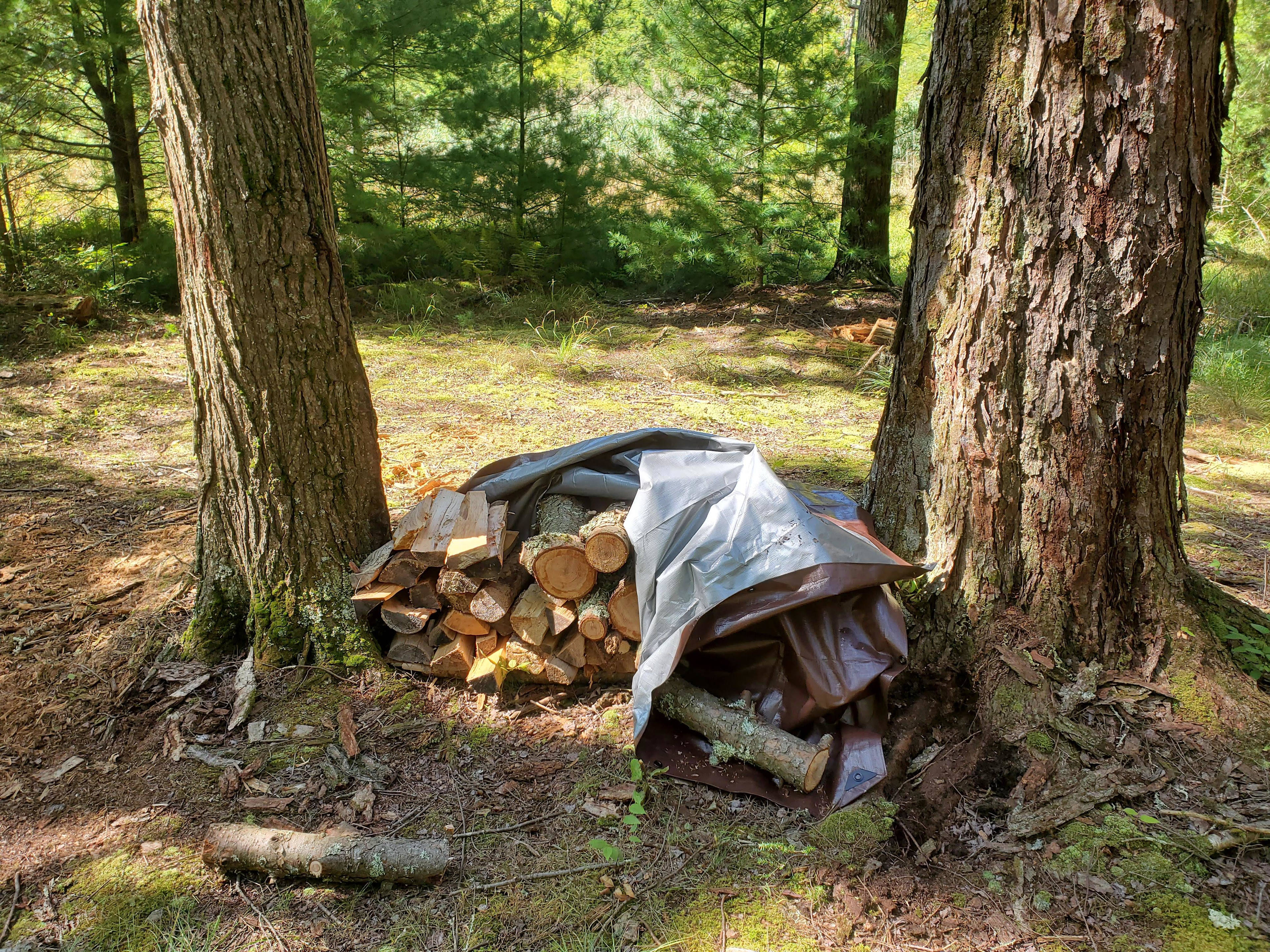 Spit firewood included with the campsite to supplement with dried branches.