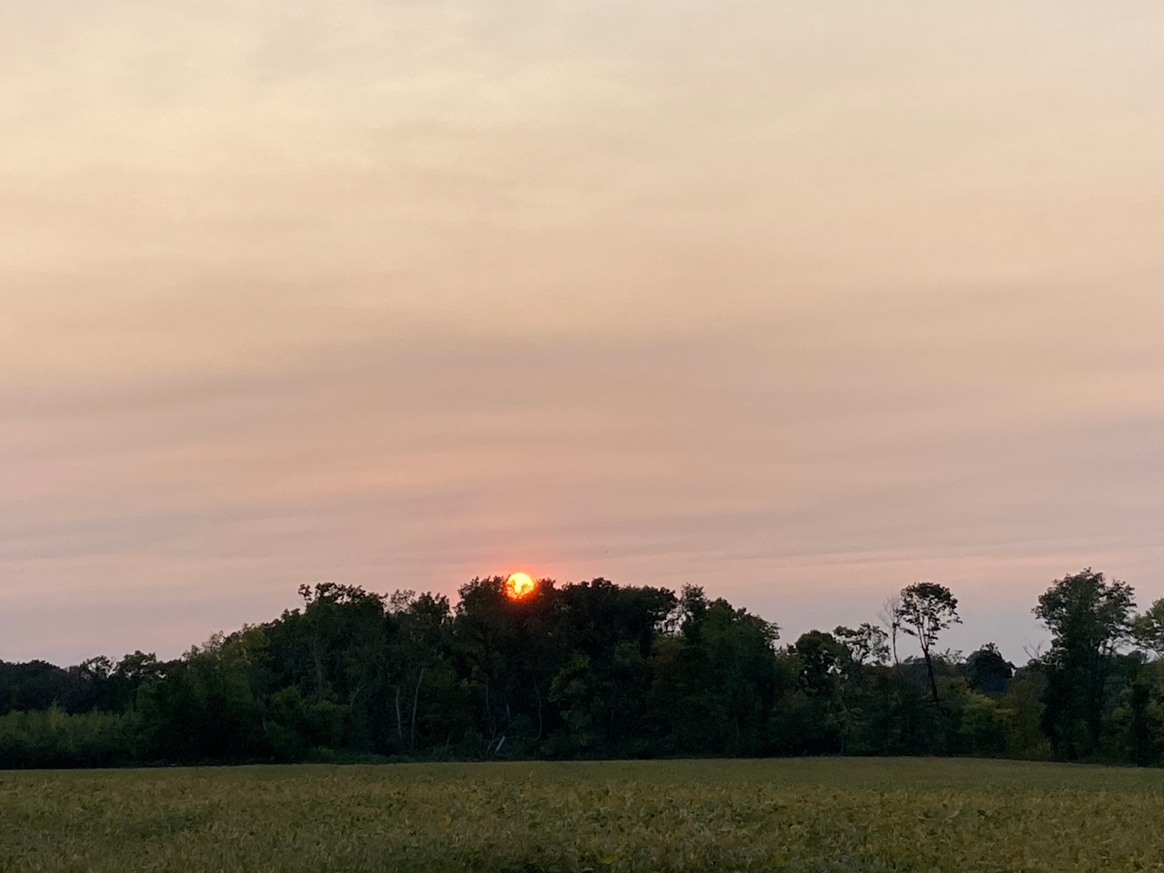 sunset view