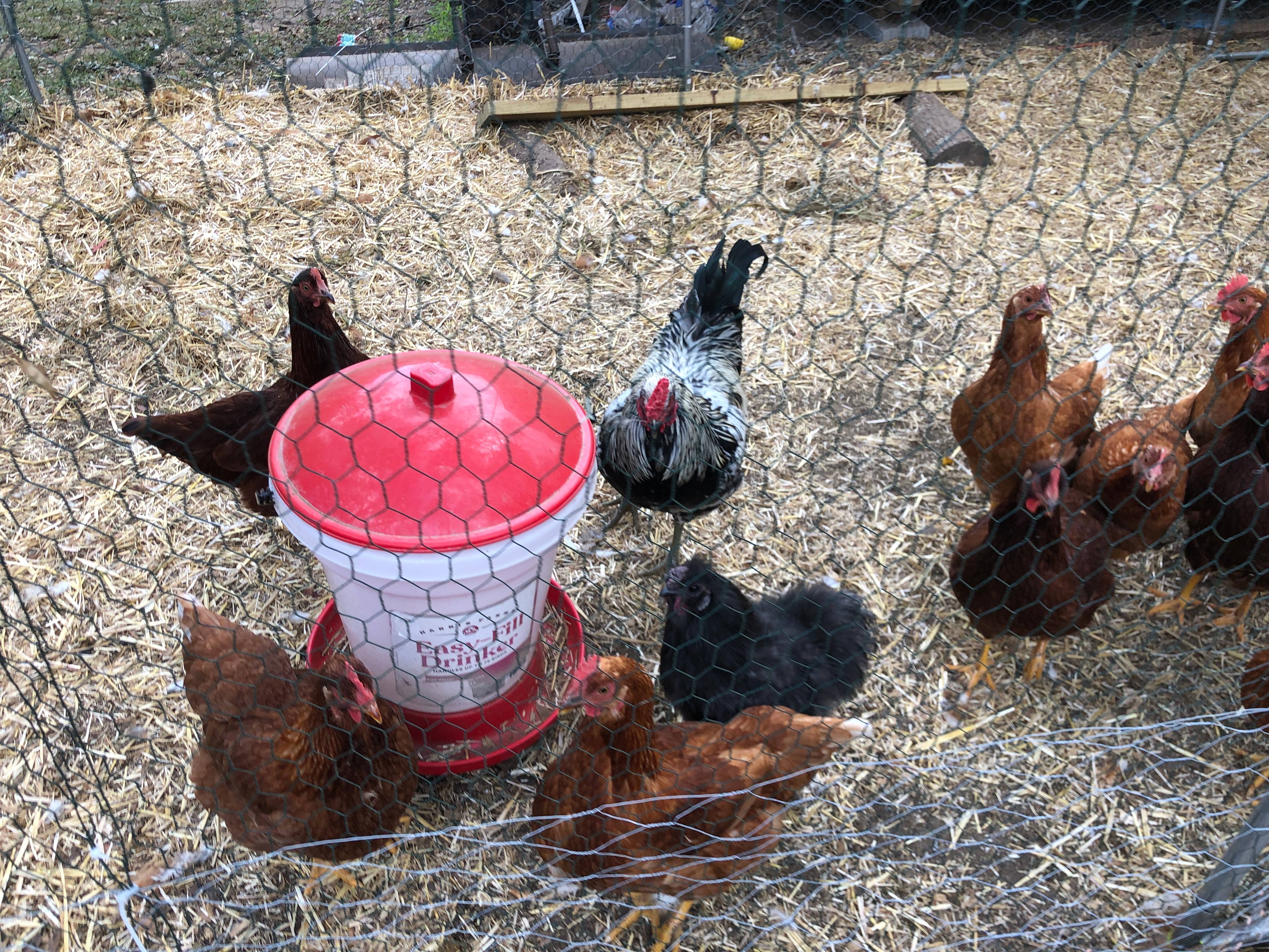 The DownEast Maine Experience