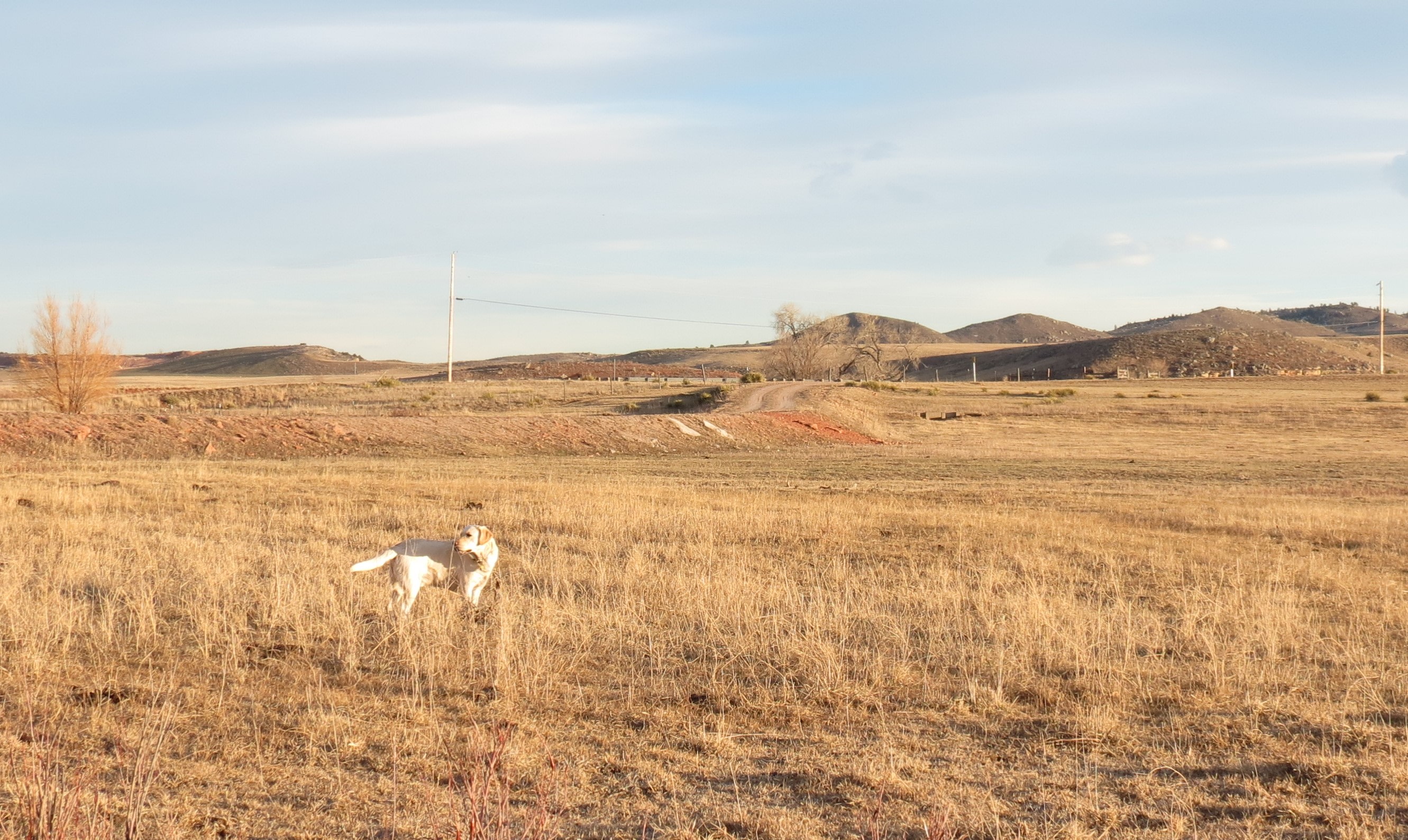 View from site
