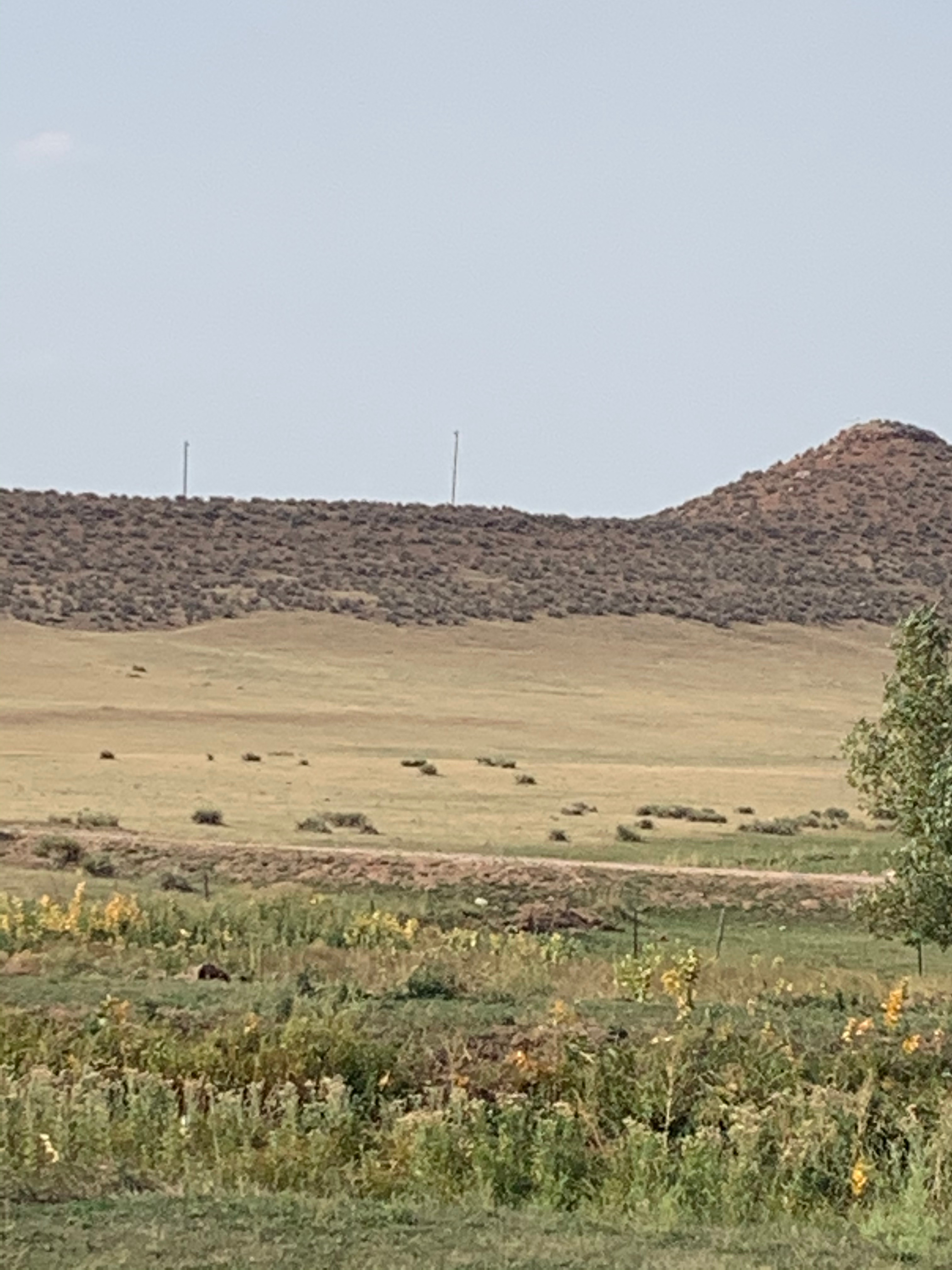 View to SW