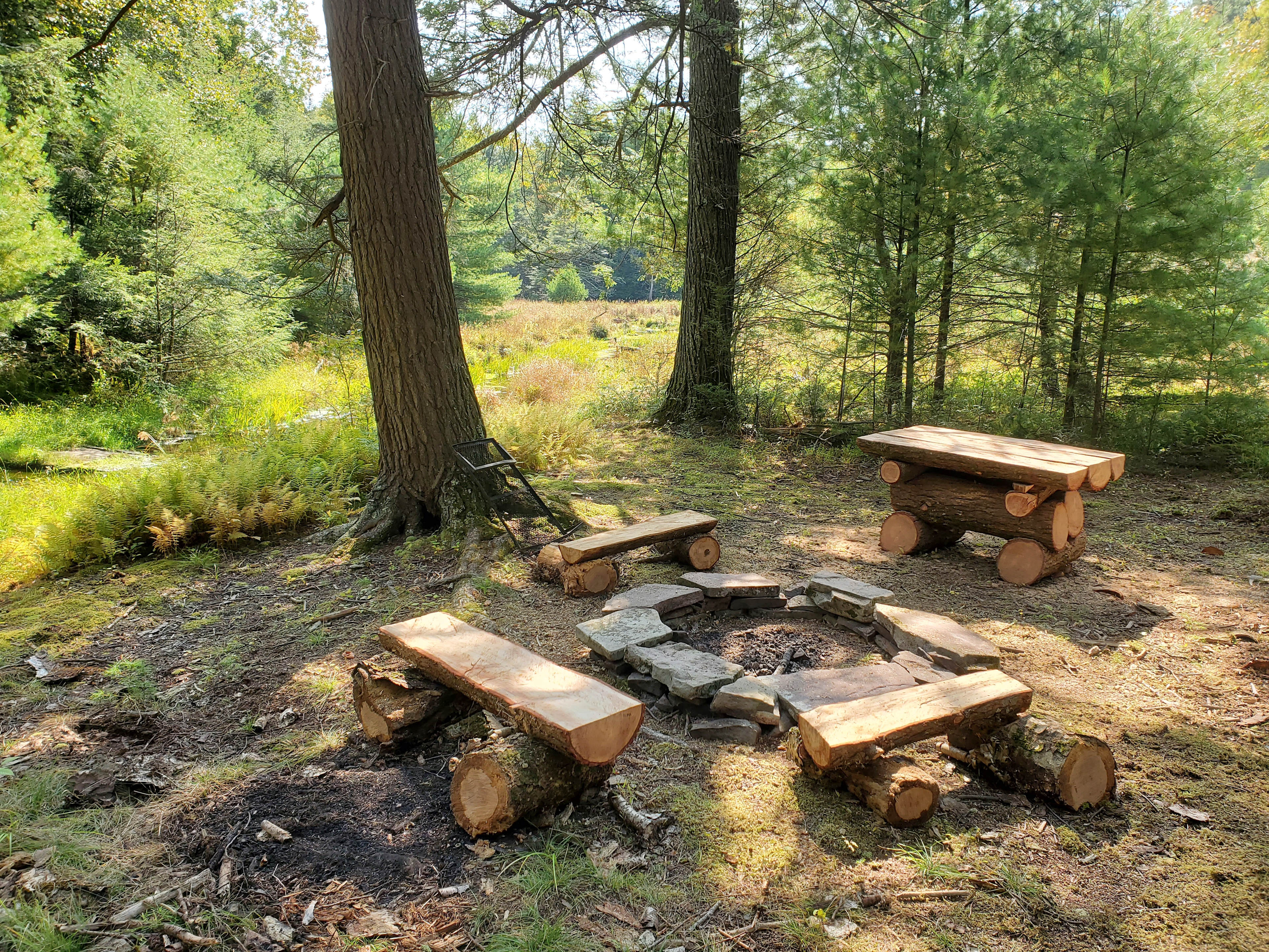 The center of the camp with the firepit, split log benches and split log table in the background.