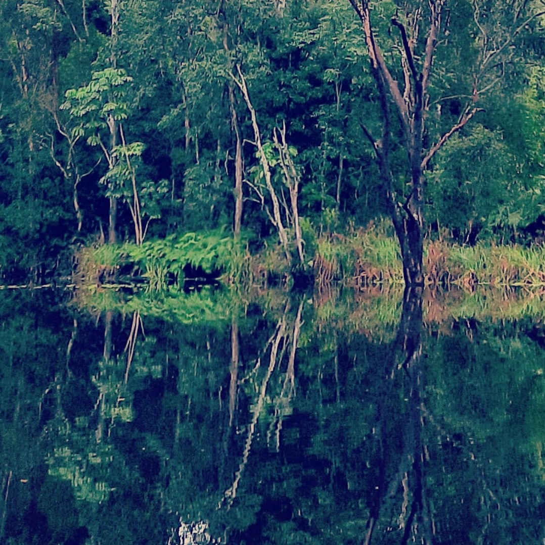 One of our waterways.