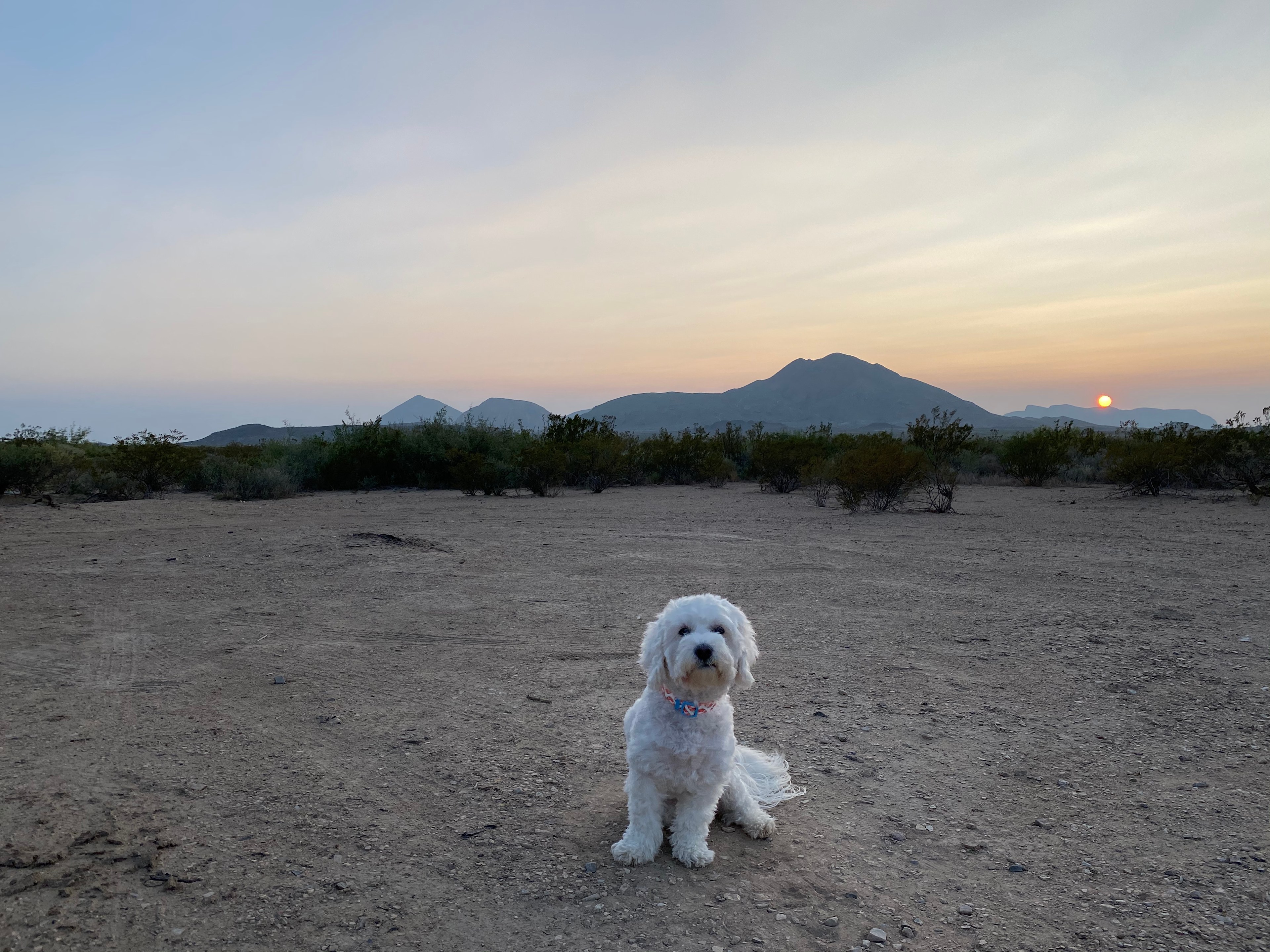 Sky Ranch Terlingua