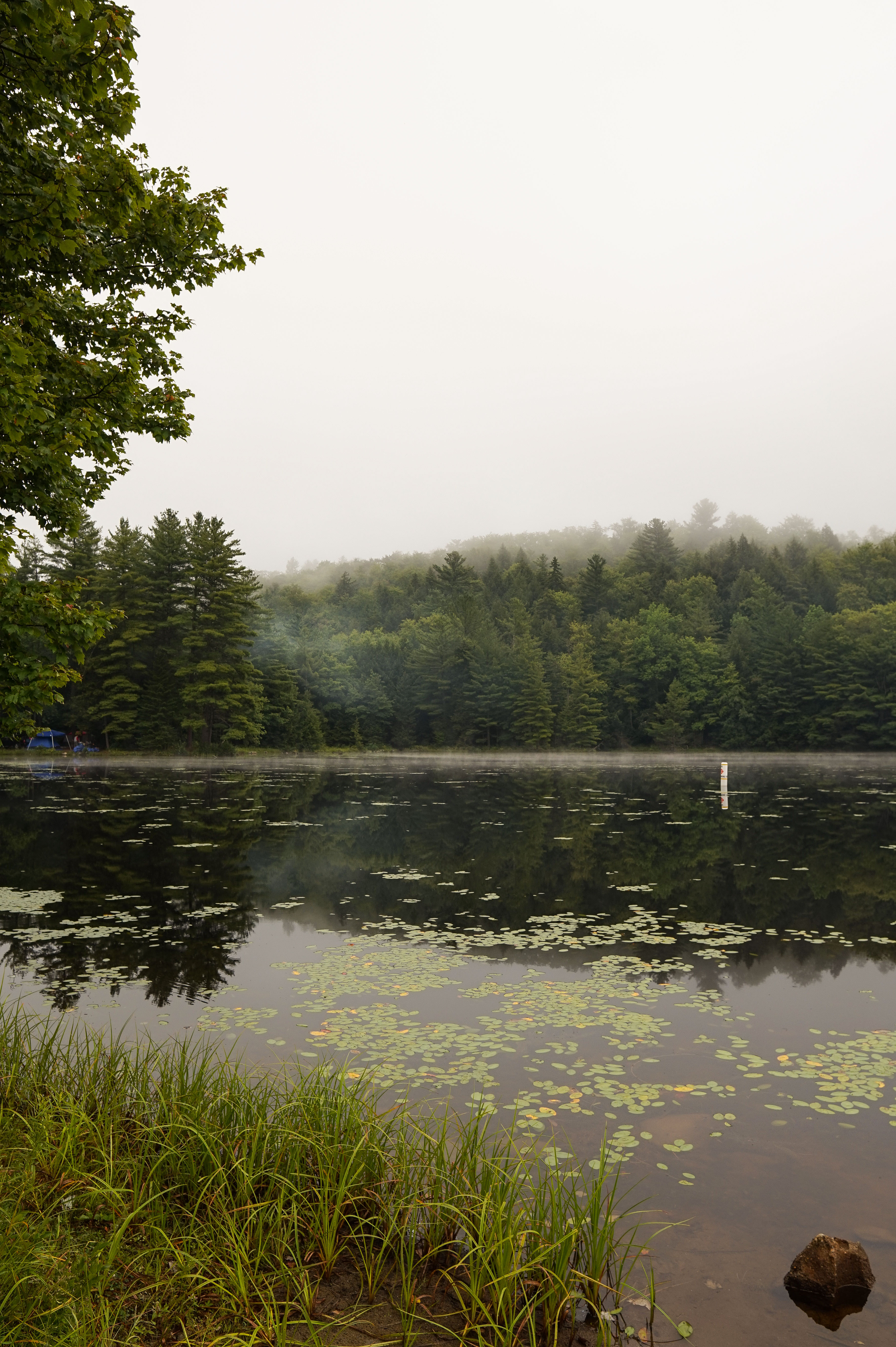 Cherry Plain State Park