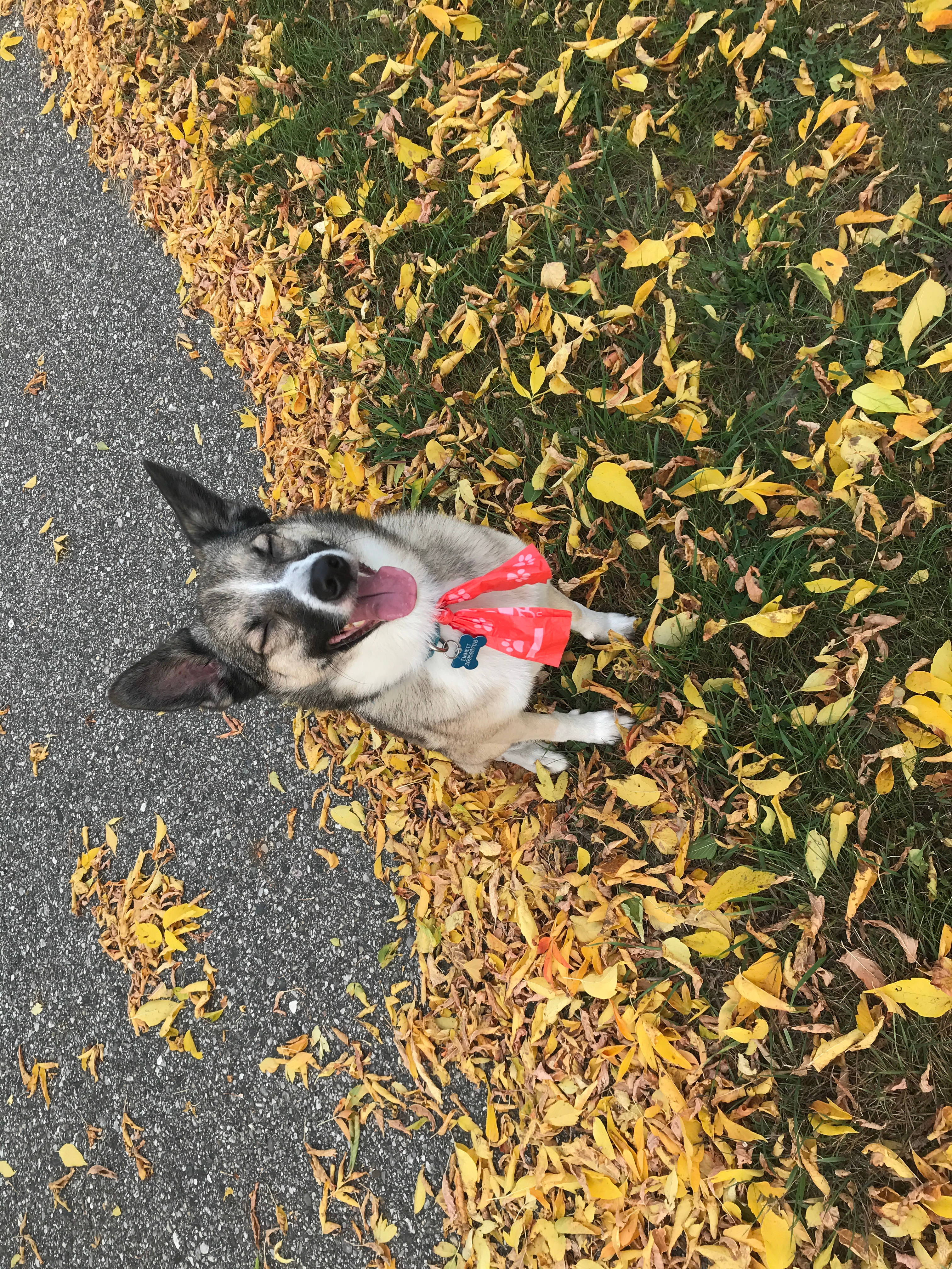Loving the bike path