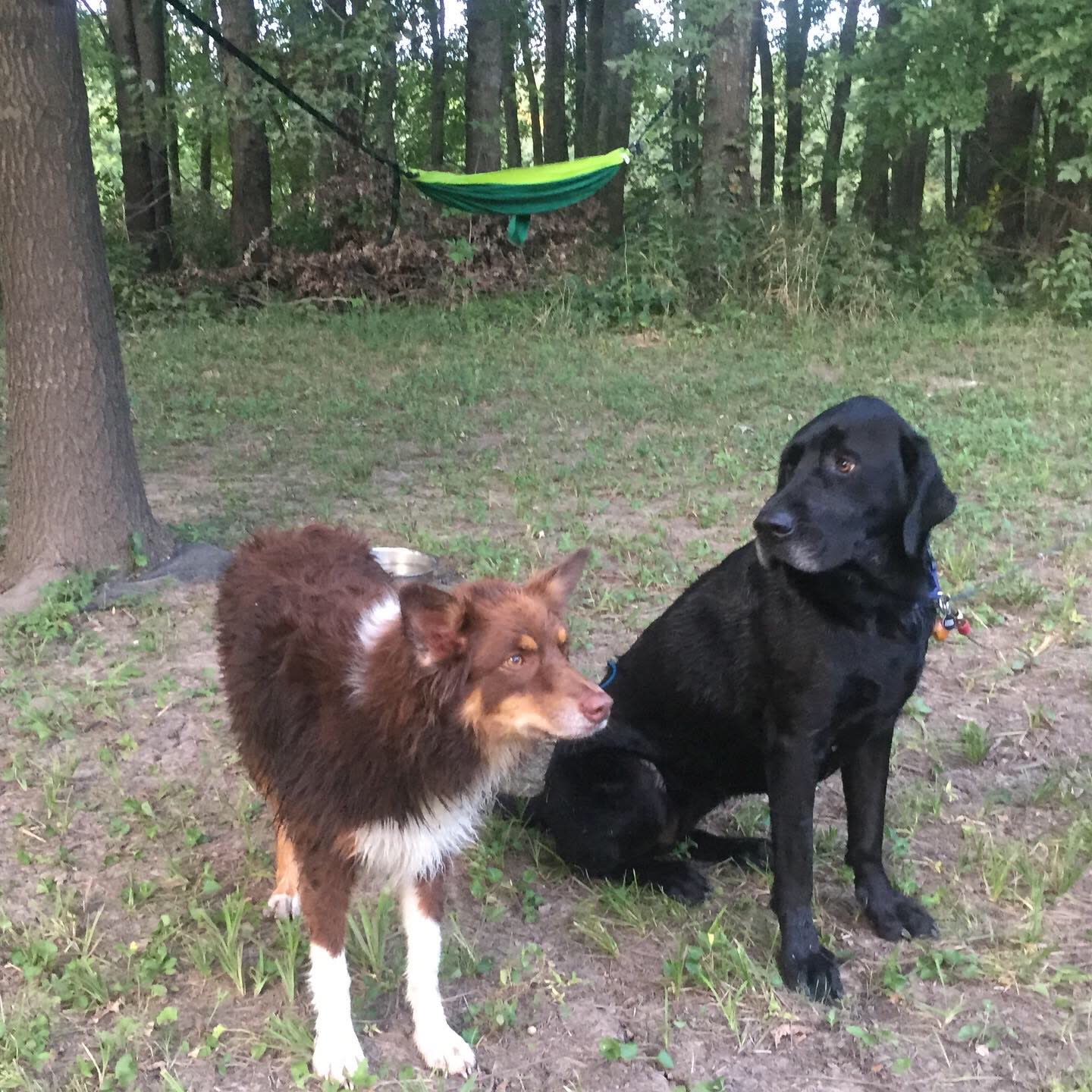 Harmony Lake Farm Park & Playground