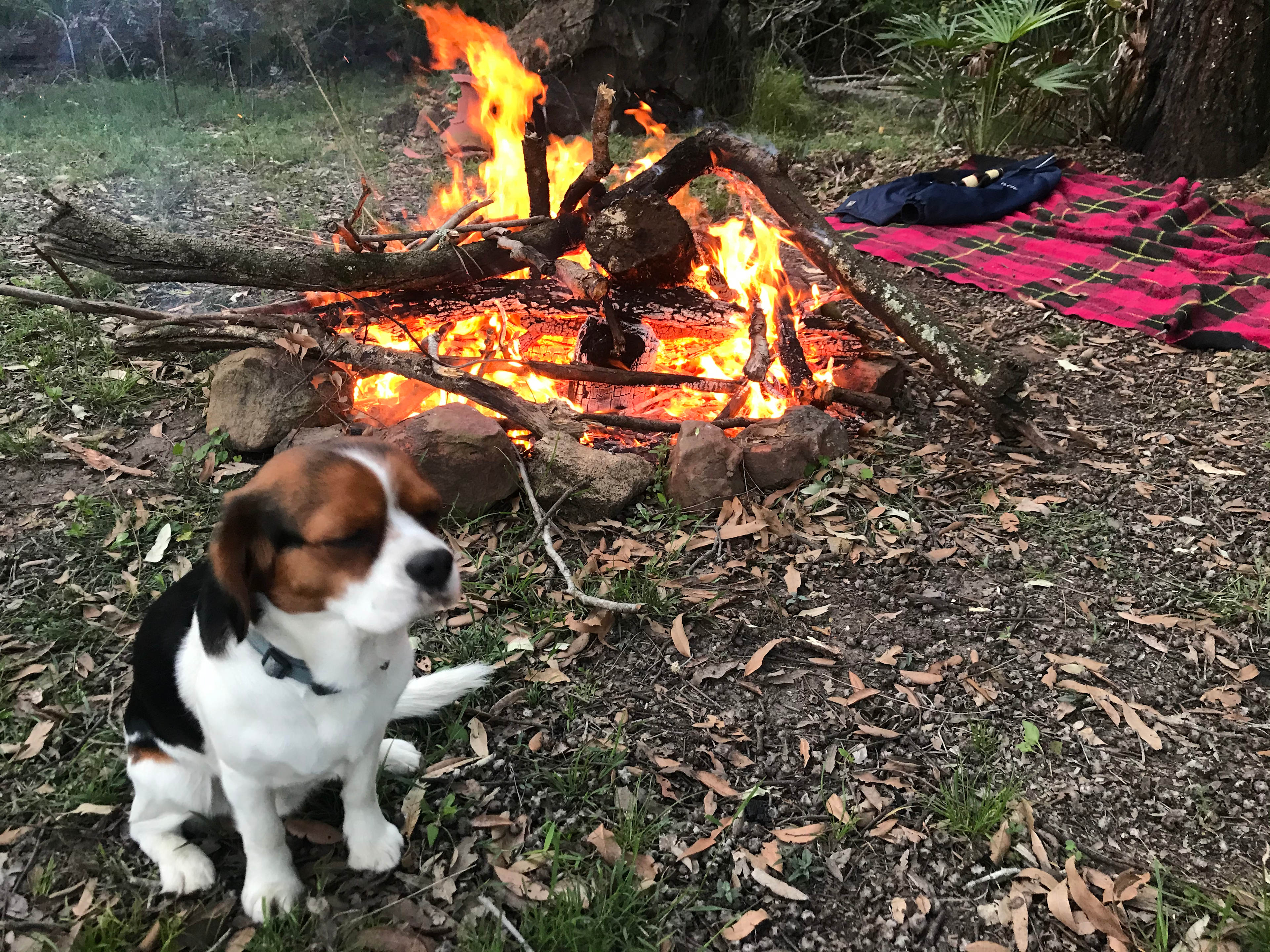 Fires are possible.