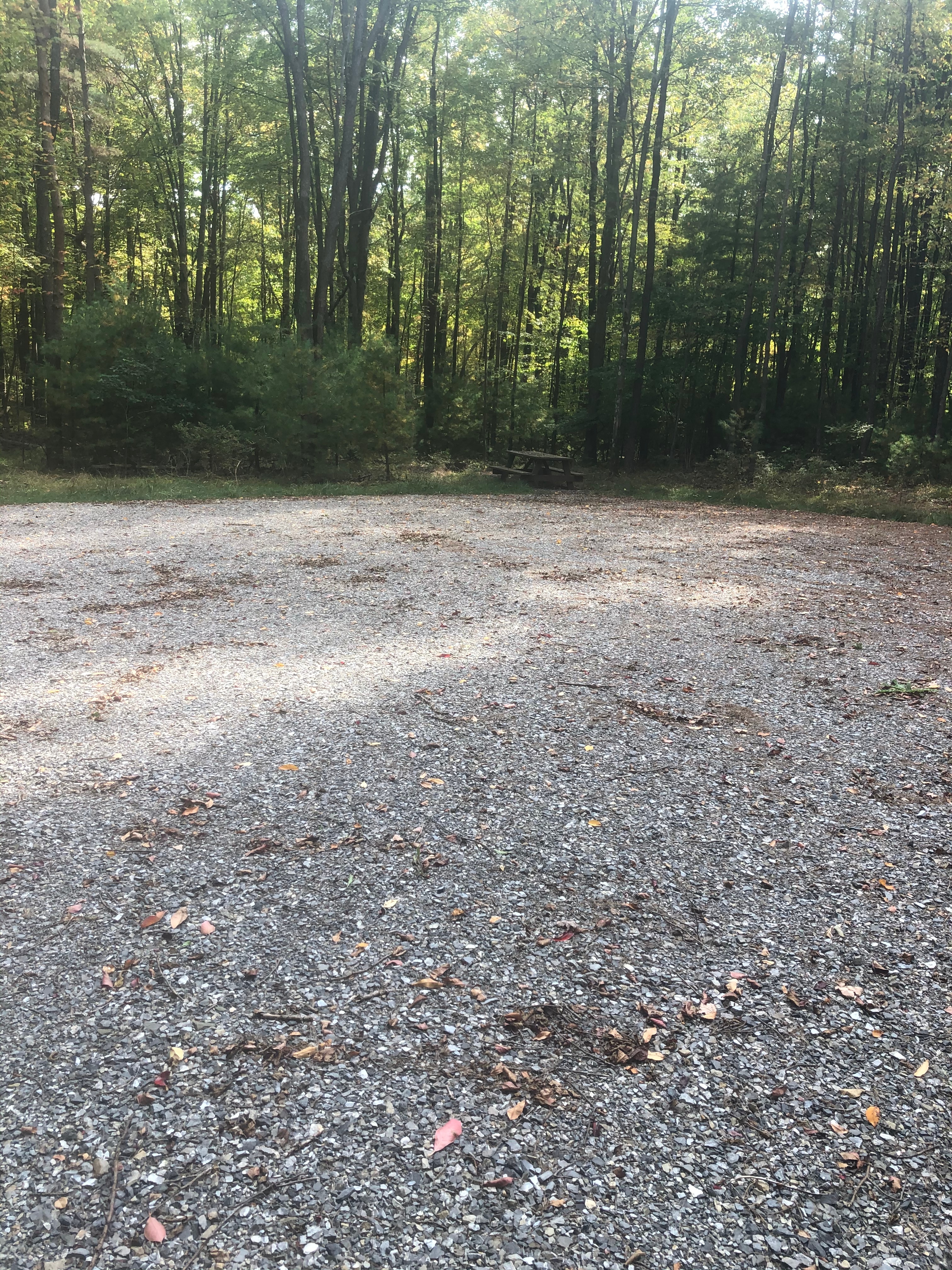 Dave S.’s Land