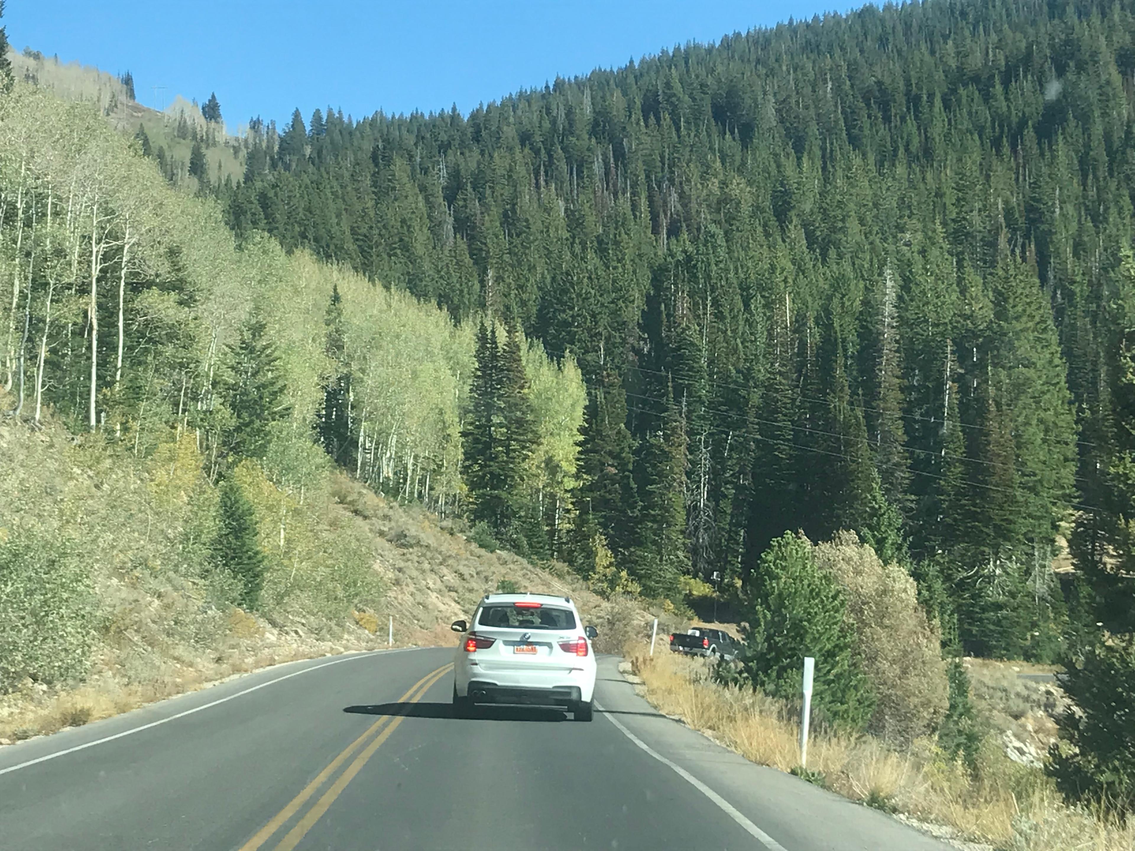 Road to the campsite