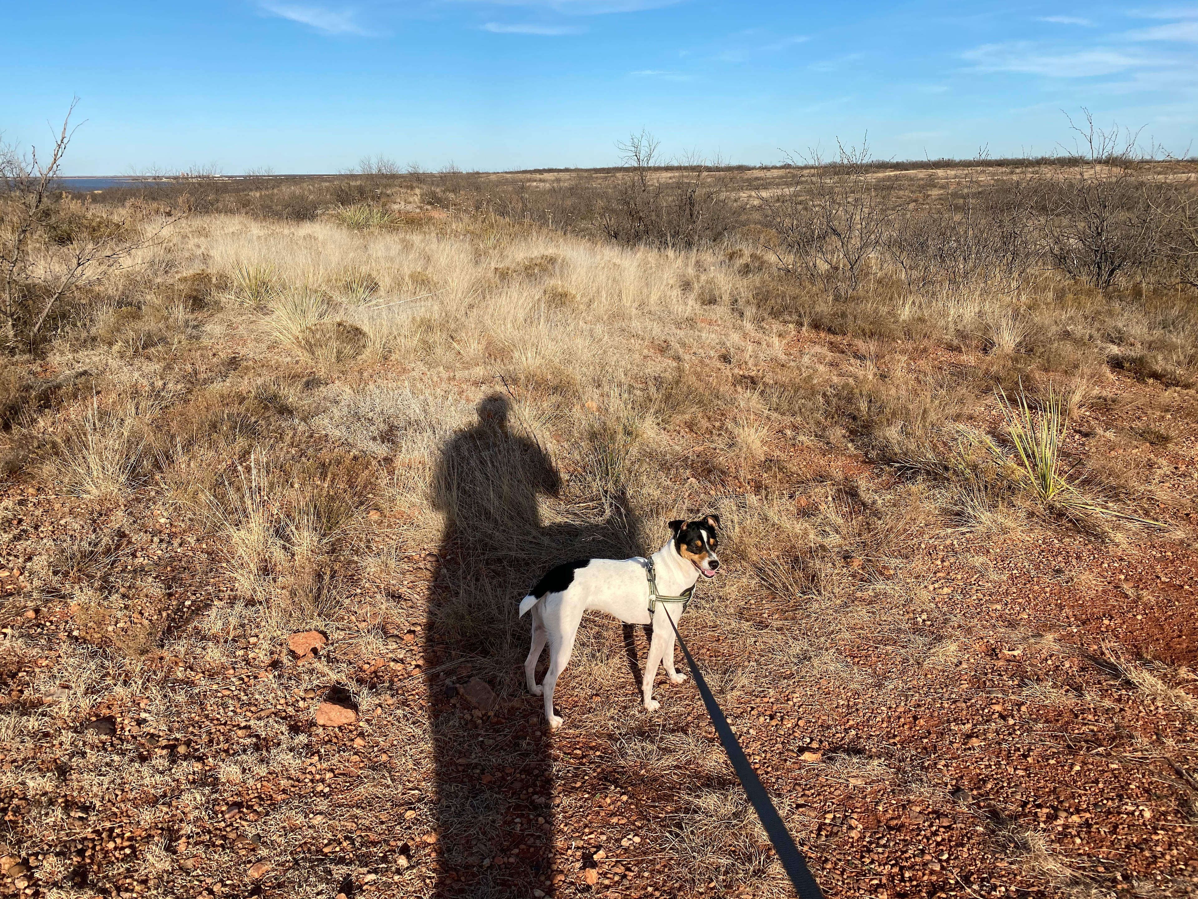 Rattlesnake Racing Adventures