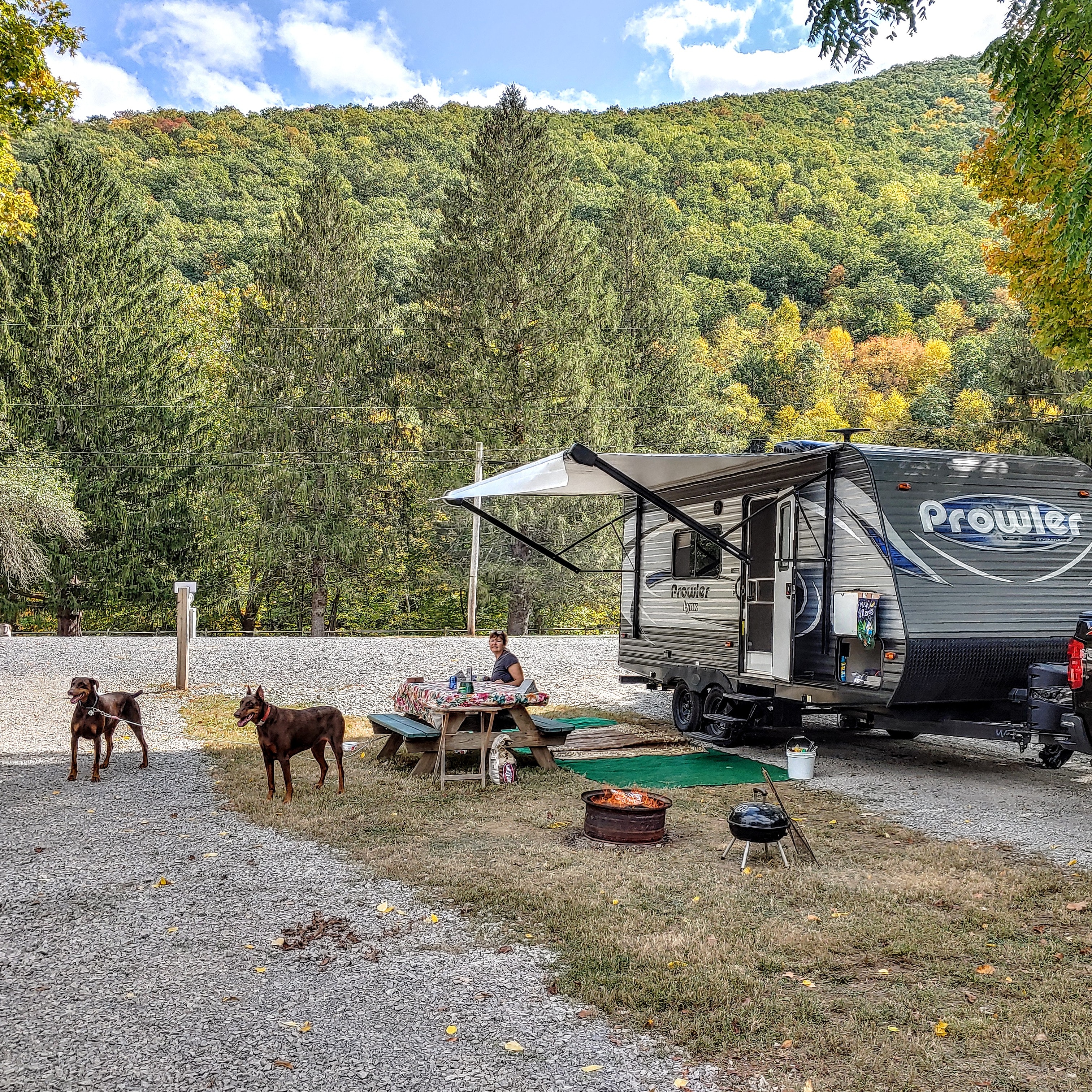 Very quiet and private