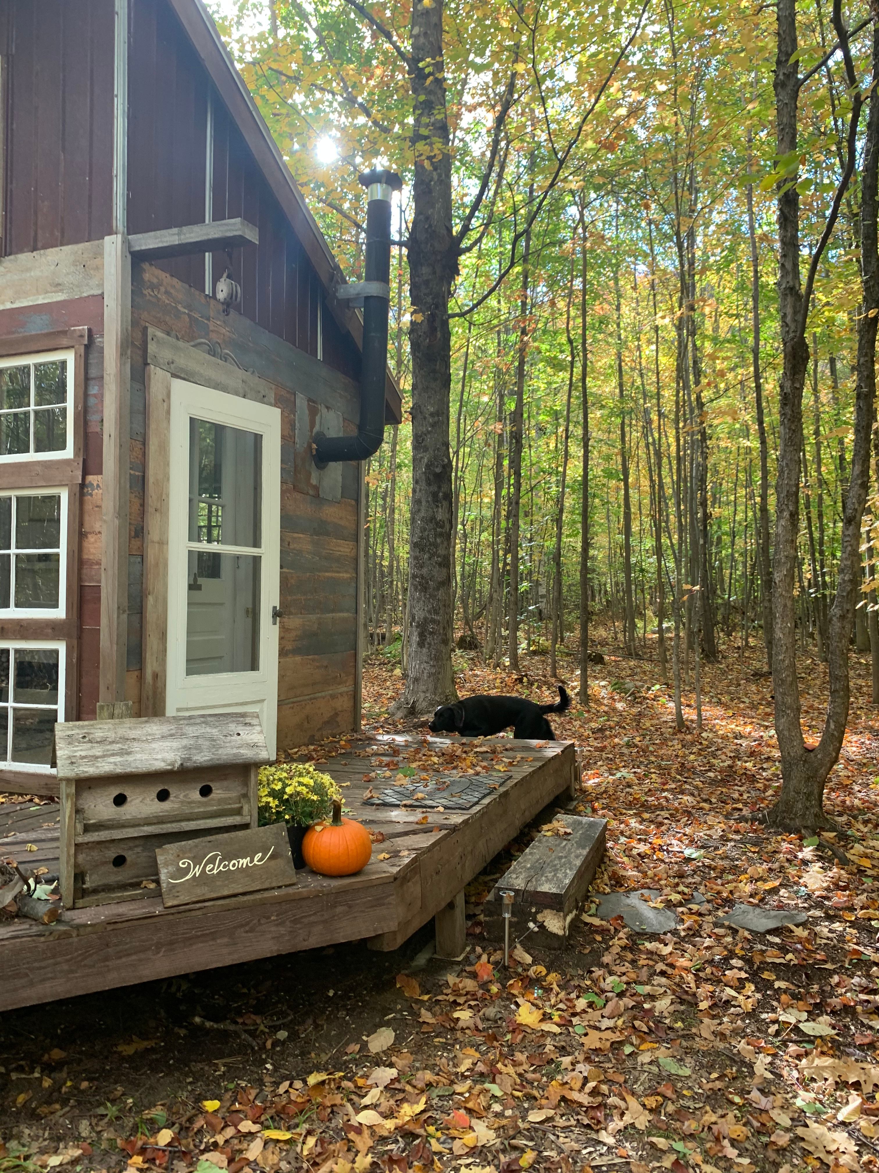 The Bird's Nest-Private Tiny House