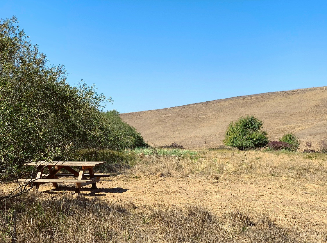 Stemple Creek Ranch