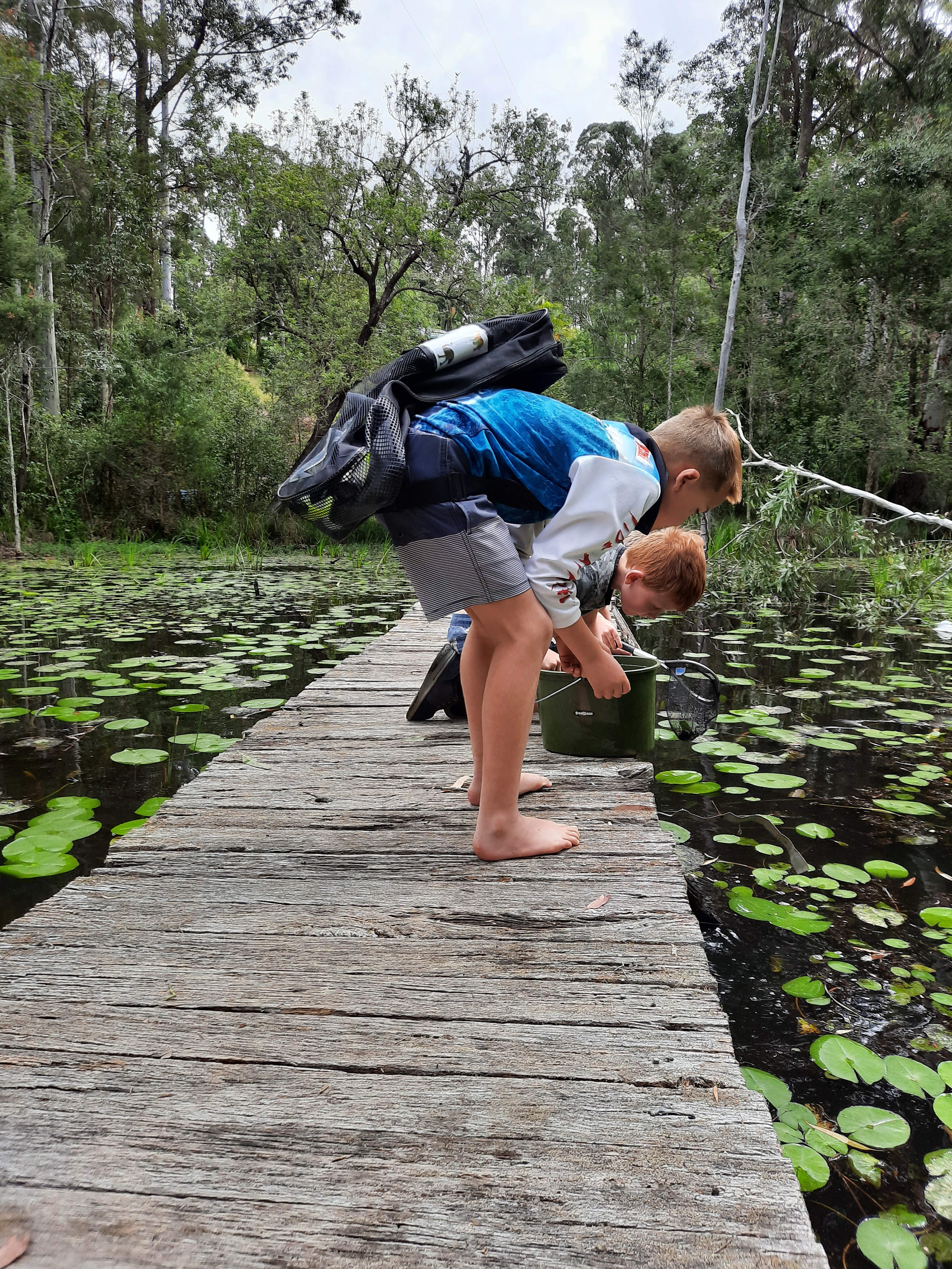 Kiddies Explorer what's in the creek