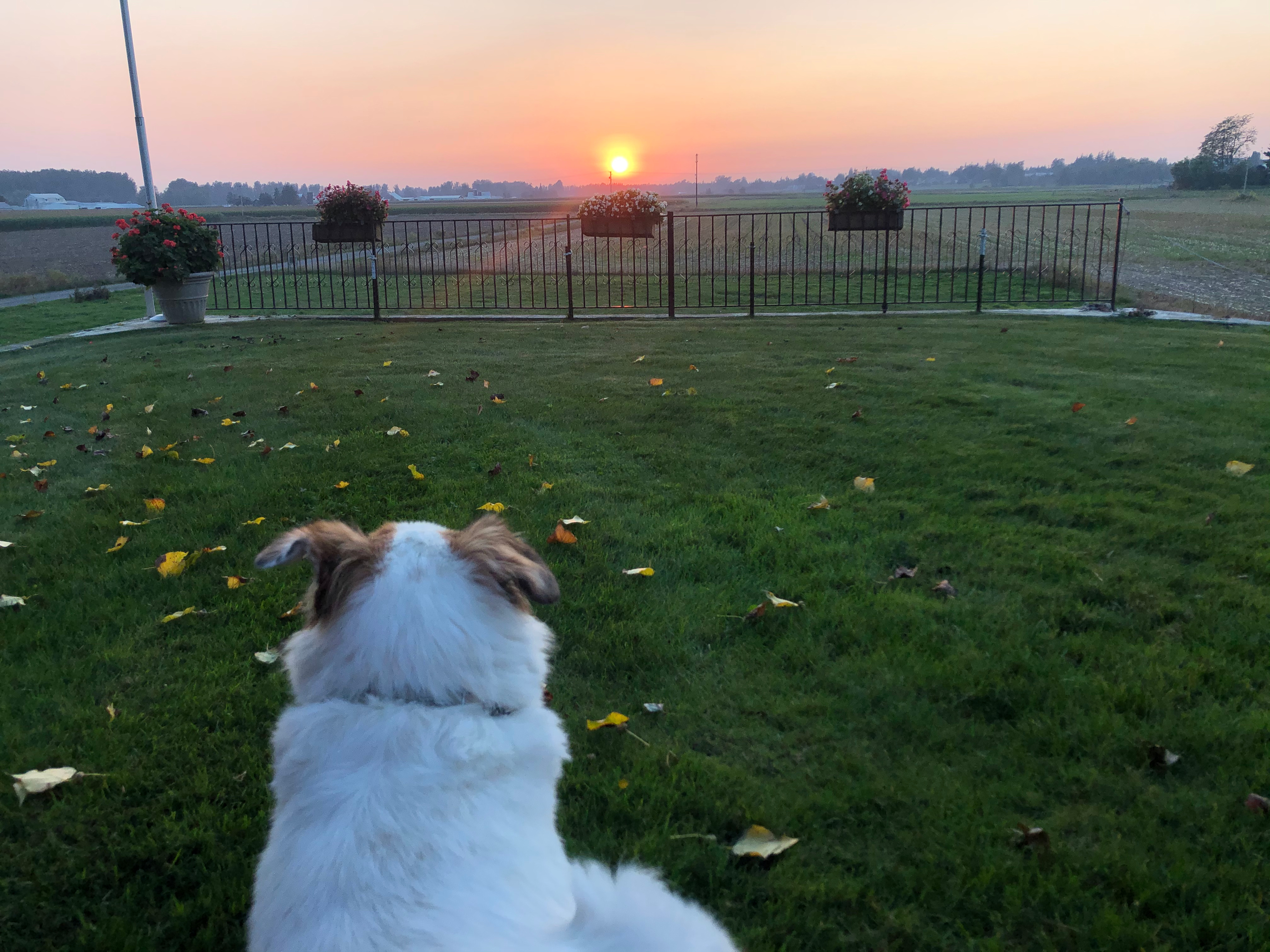 Oostema Farmstead Campsites