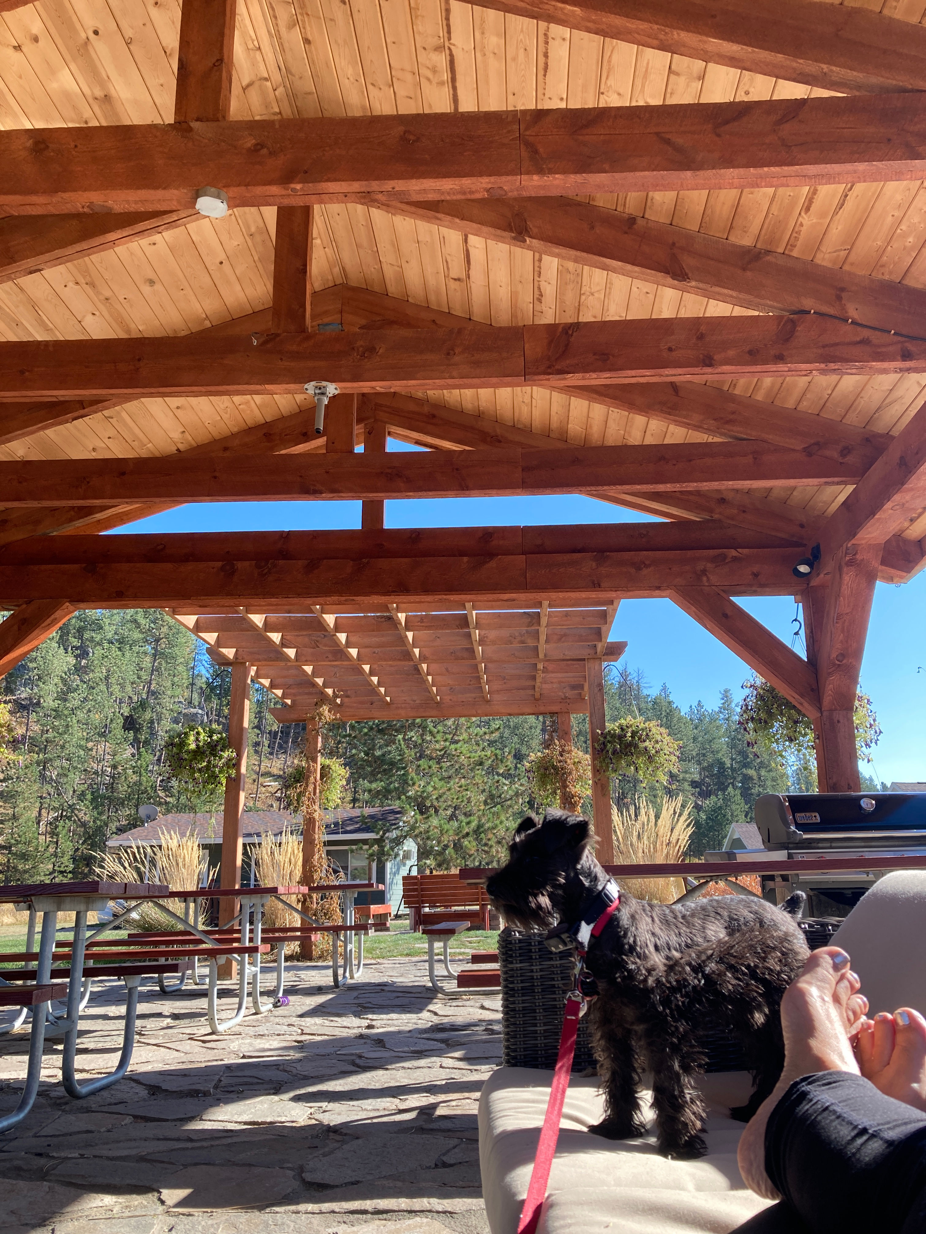 Whispering Winds Campsites