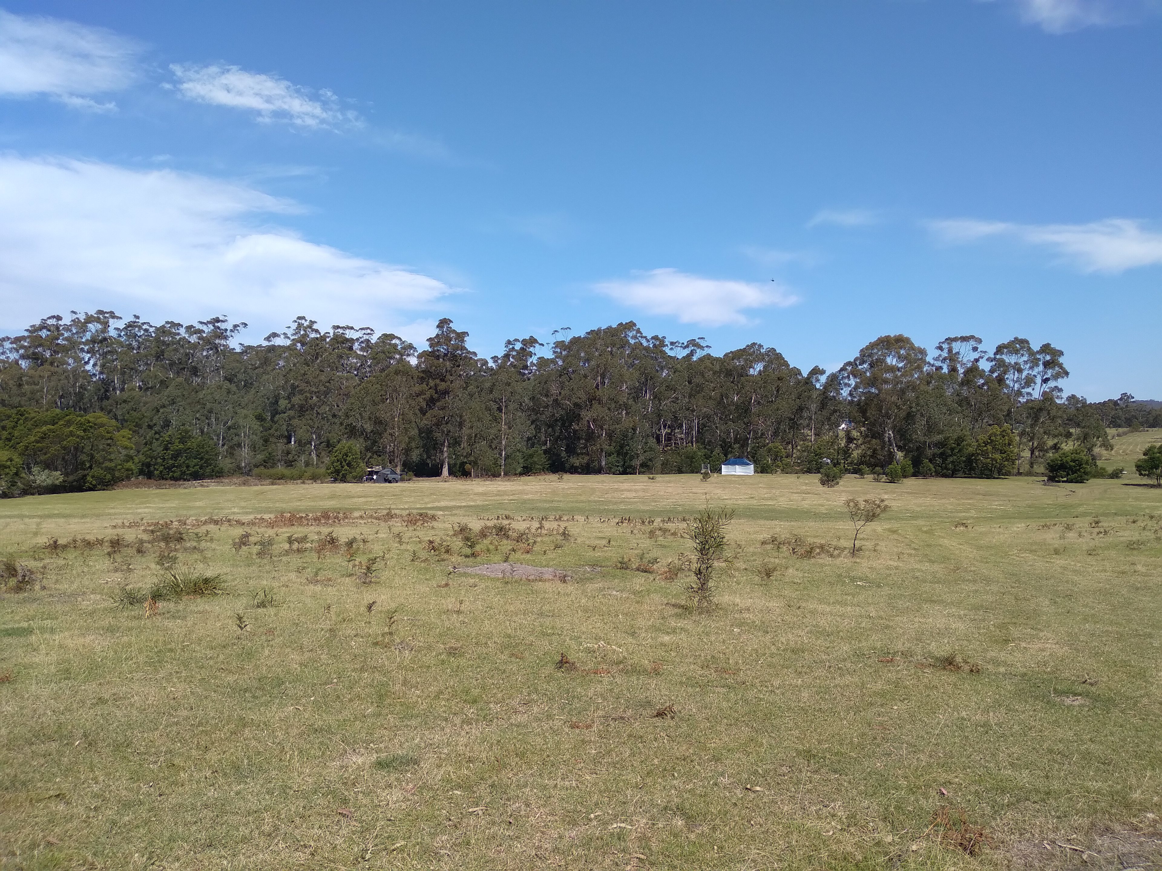 4. Creek Side Bushcamping if you choose to look out over Big Paddock