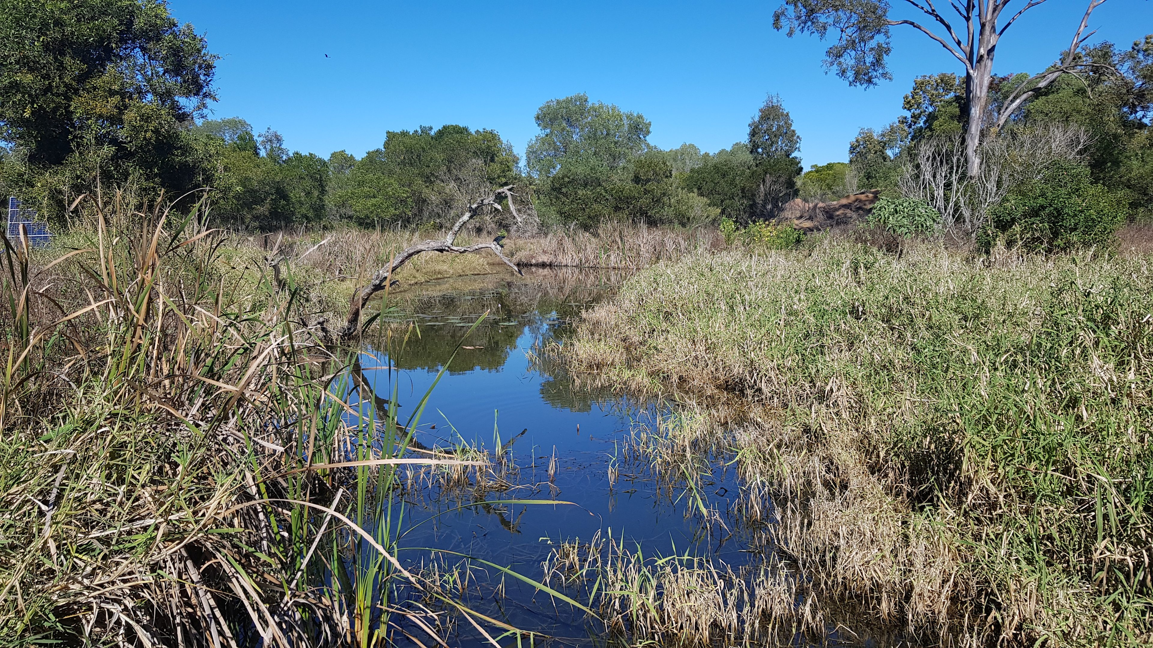 view of the creek near the creekbank site