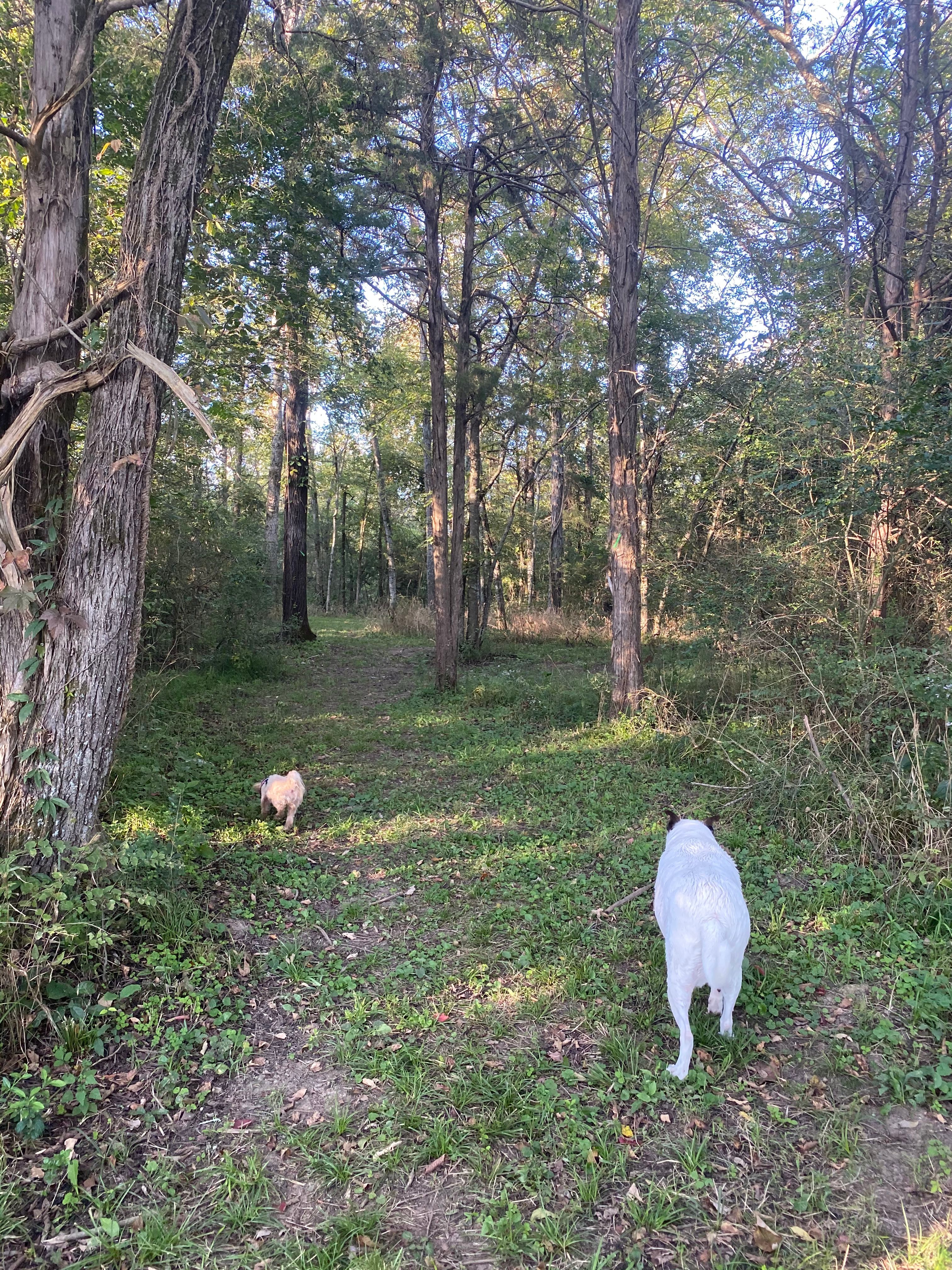 Crossing Creeks Farm