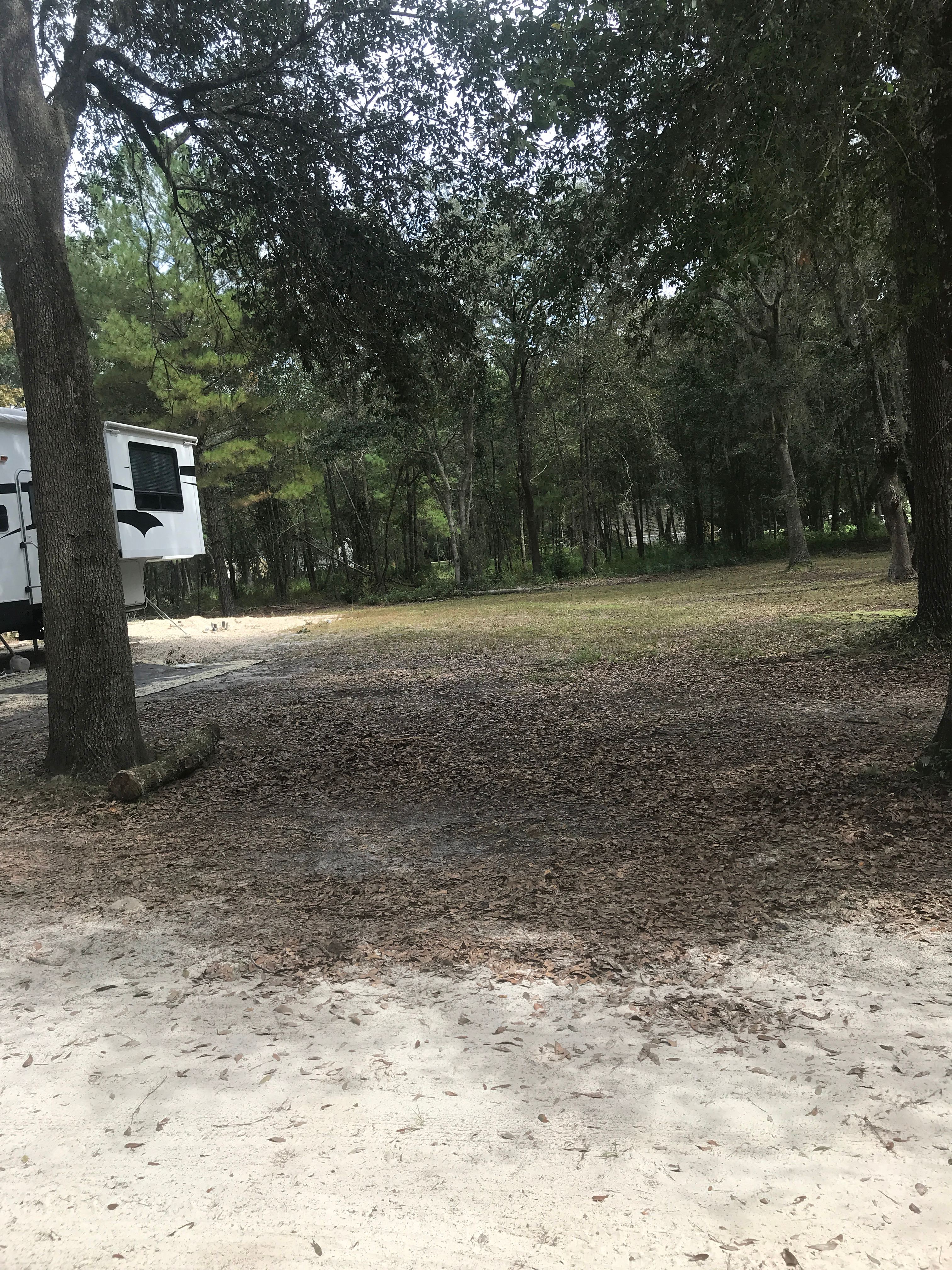 New Earth Rising, near FL SPRINGS