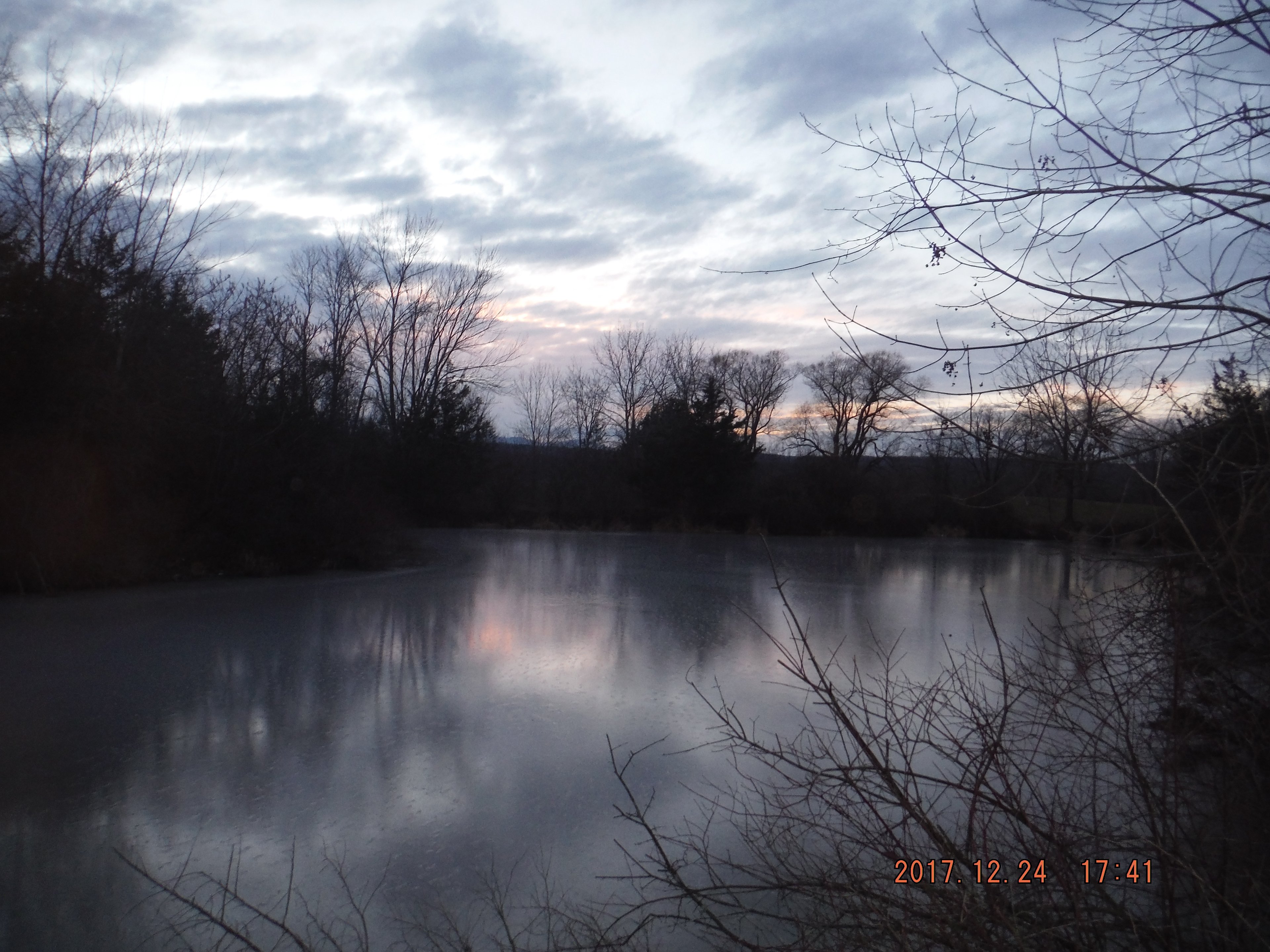 Back Pond