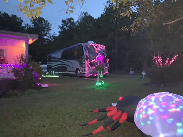 Festive view from the front yard. The bus is the communal area with a kitchen, bathroom and sinks. 