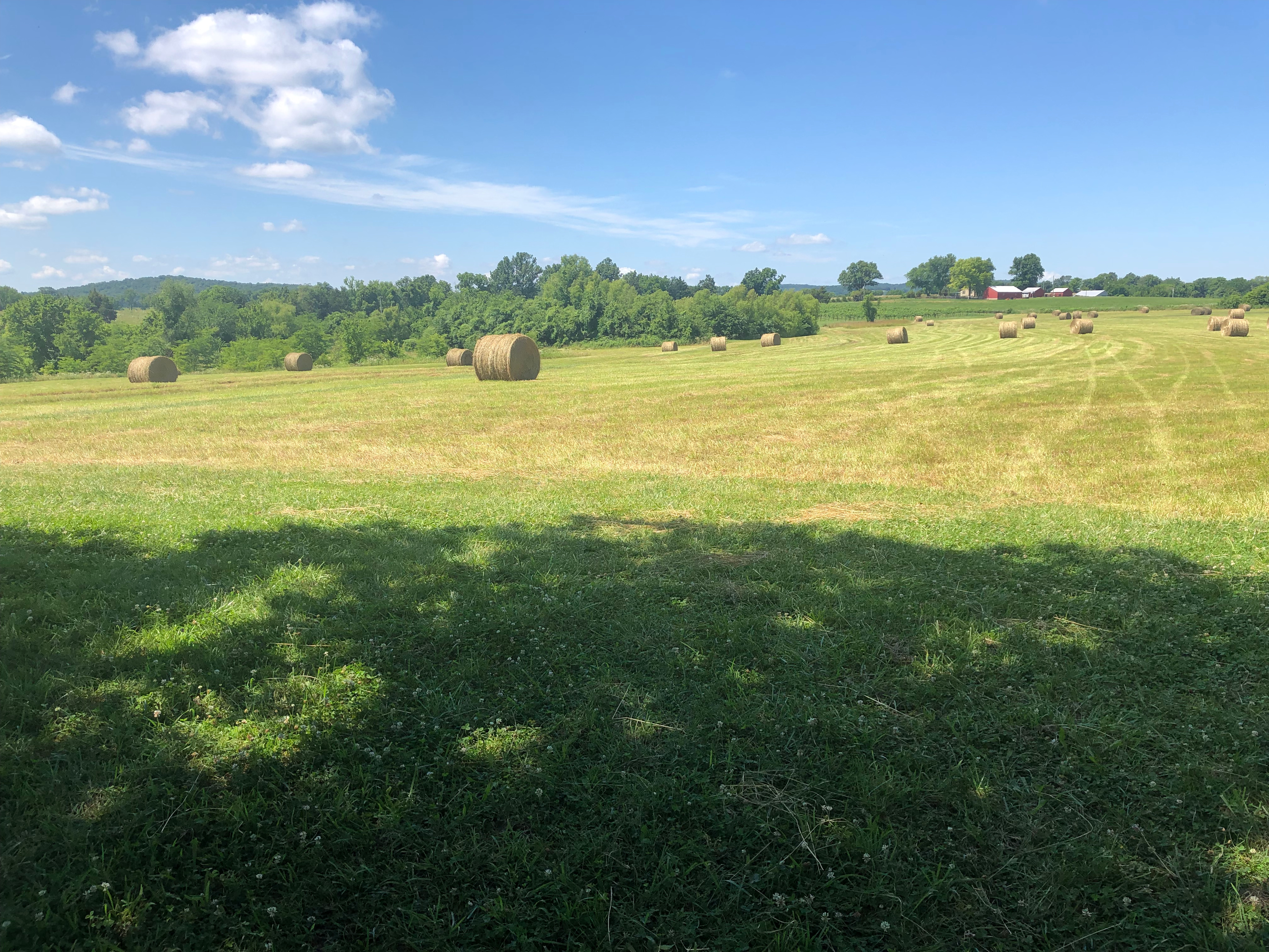 View to the Southwest from campsites after summer bailing. 