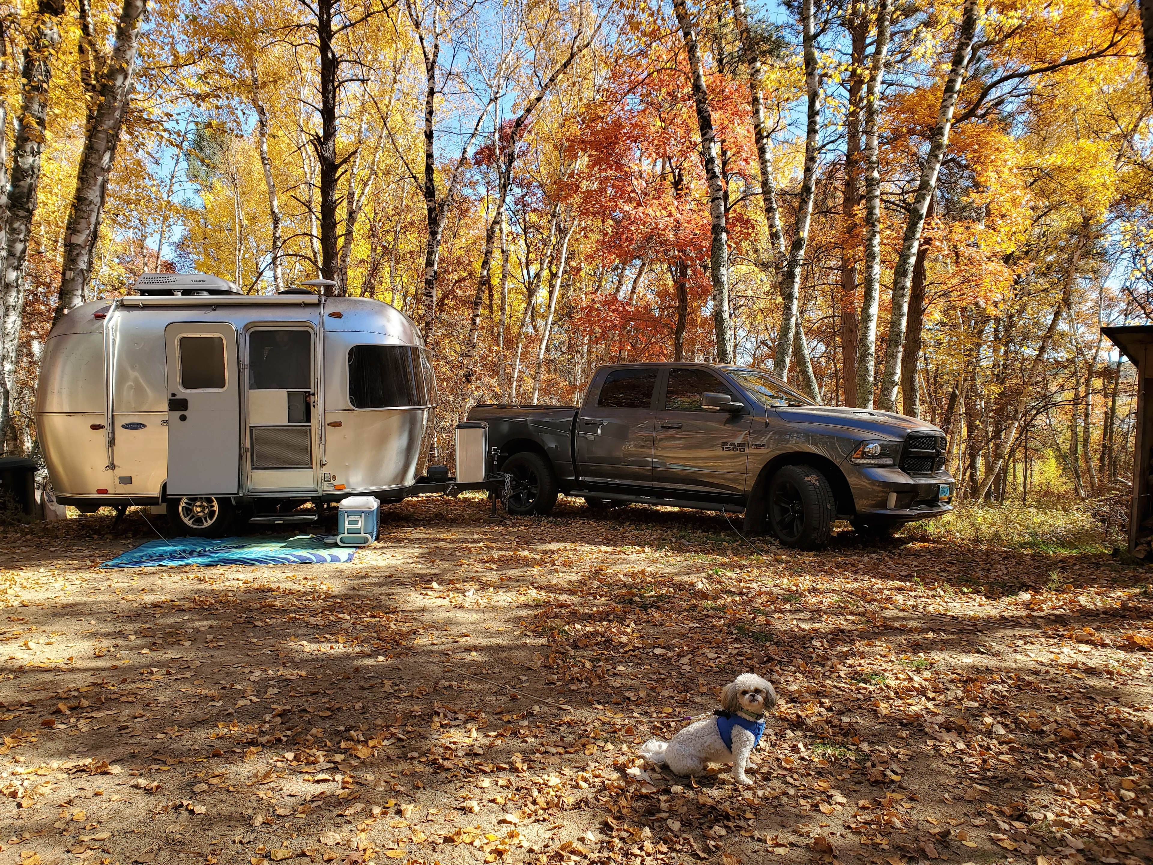 Site #2 (has a double electric pole)